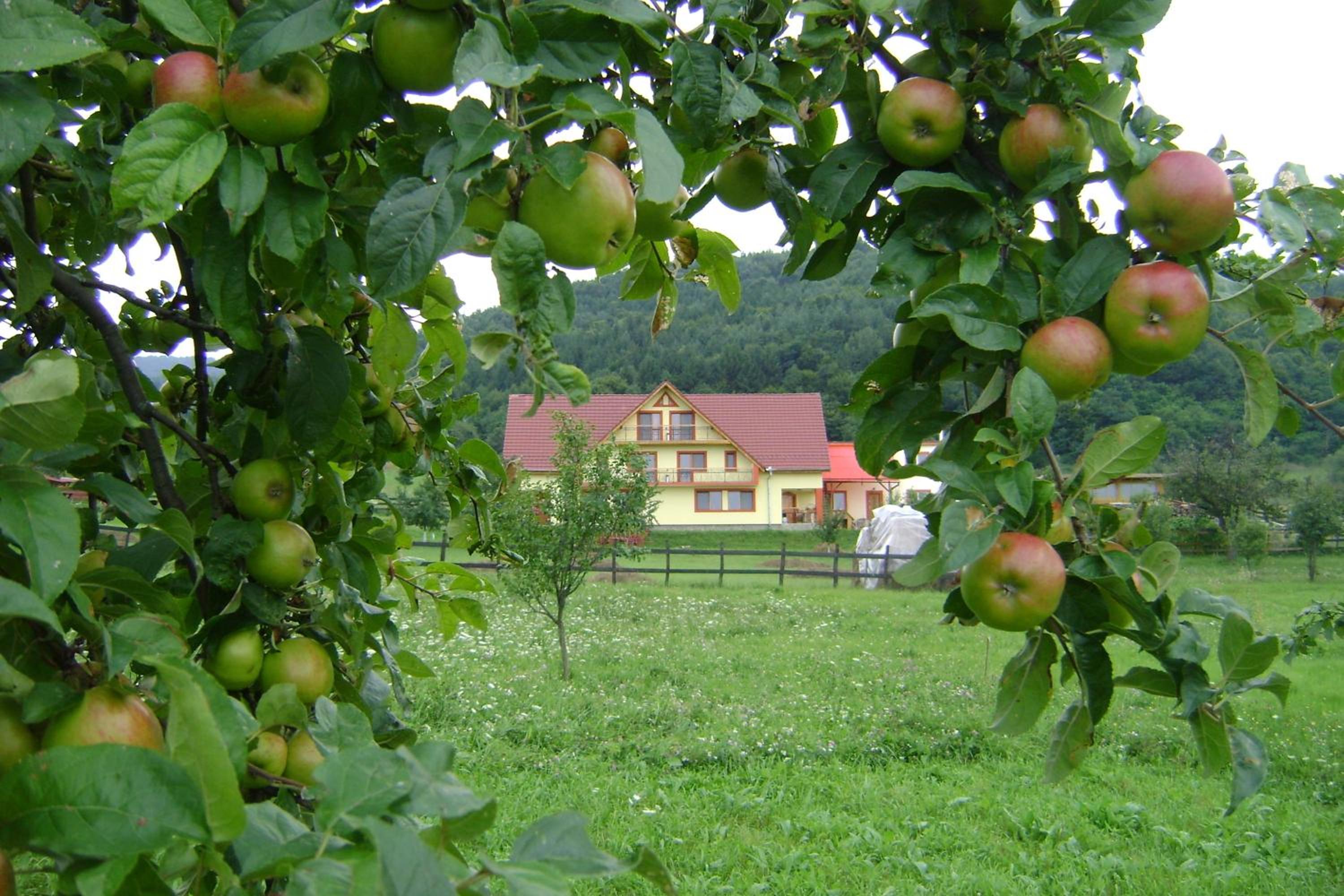 Photo 44