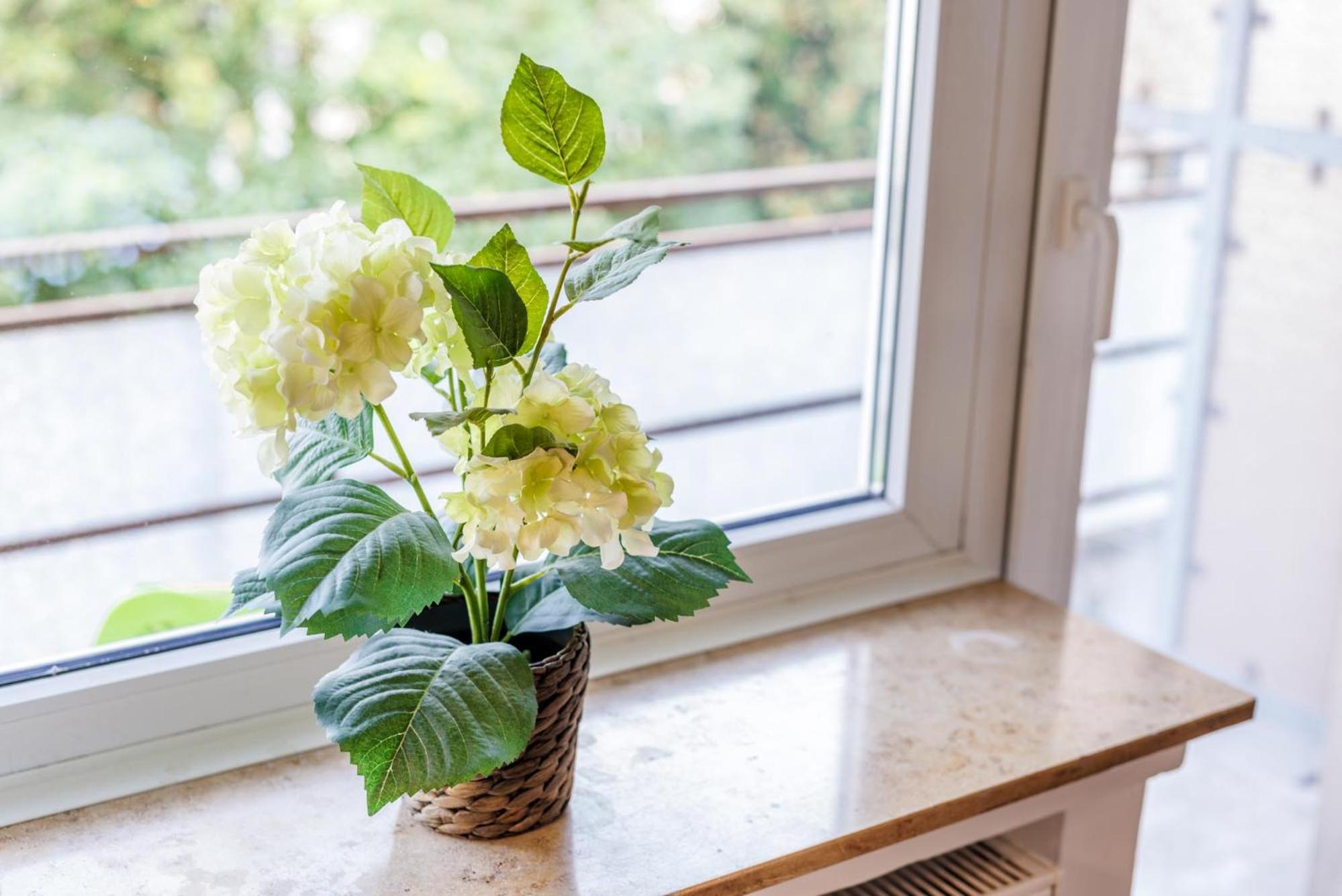 Glück Auf Appartements Rüttenscheiderstraße Essen