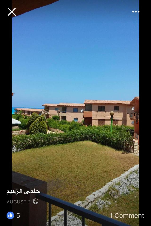 Amazin Chalet North coast Egypt