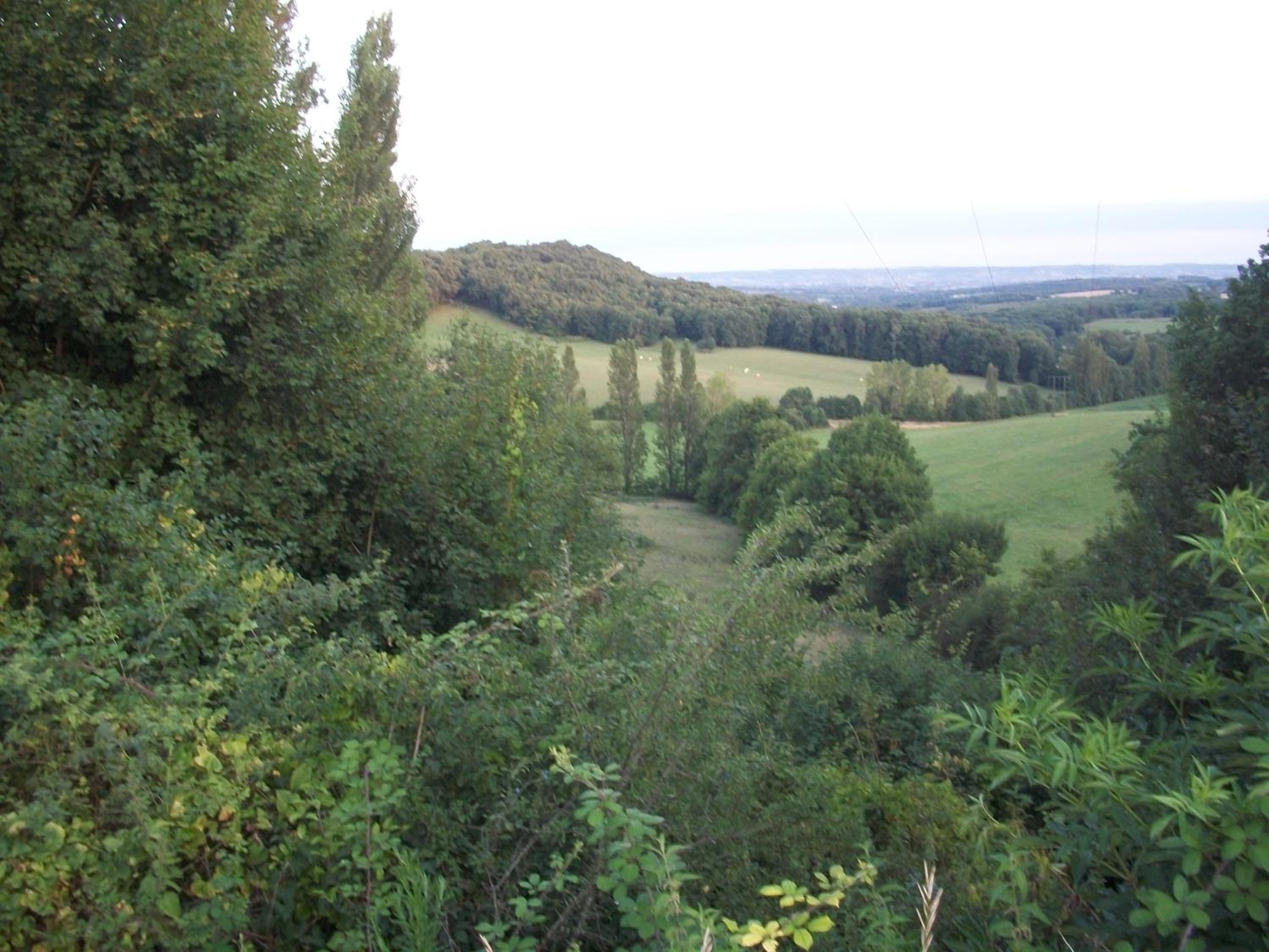 Photo 34