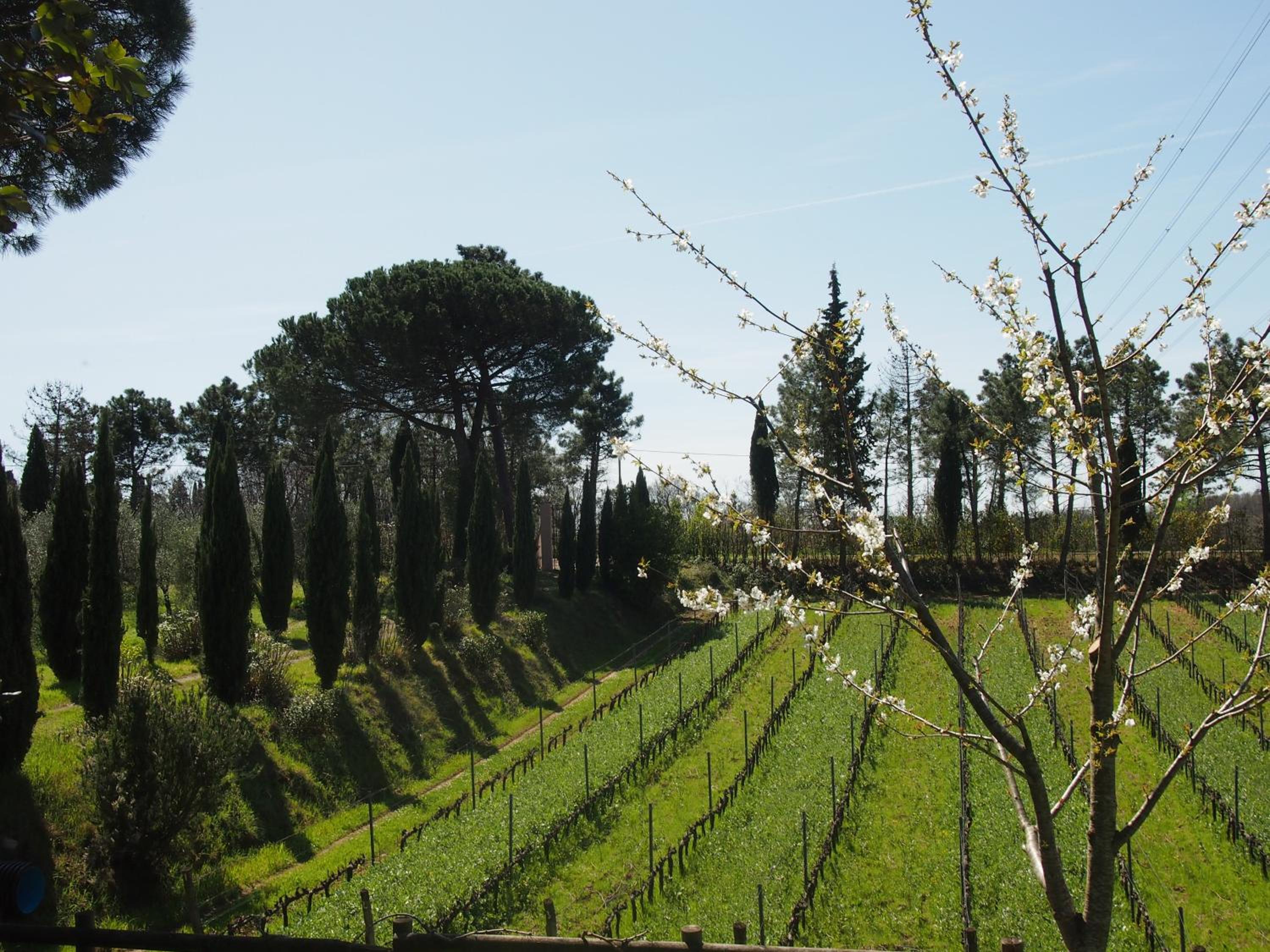 Agriturismo Gli Archi