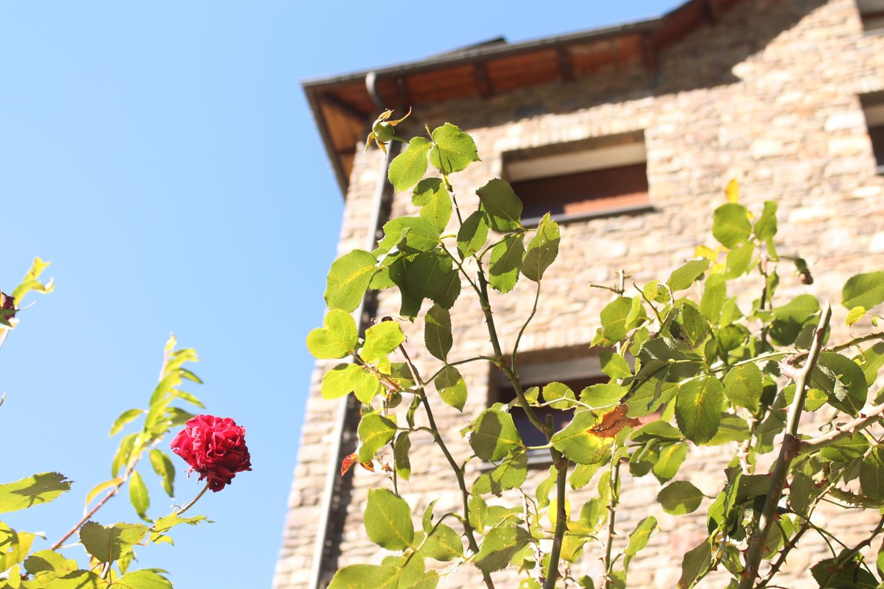 Apartaments Vilaró