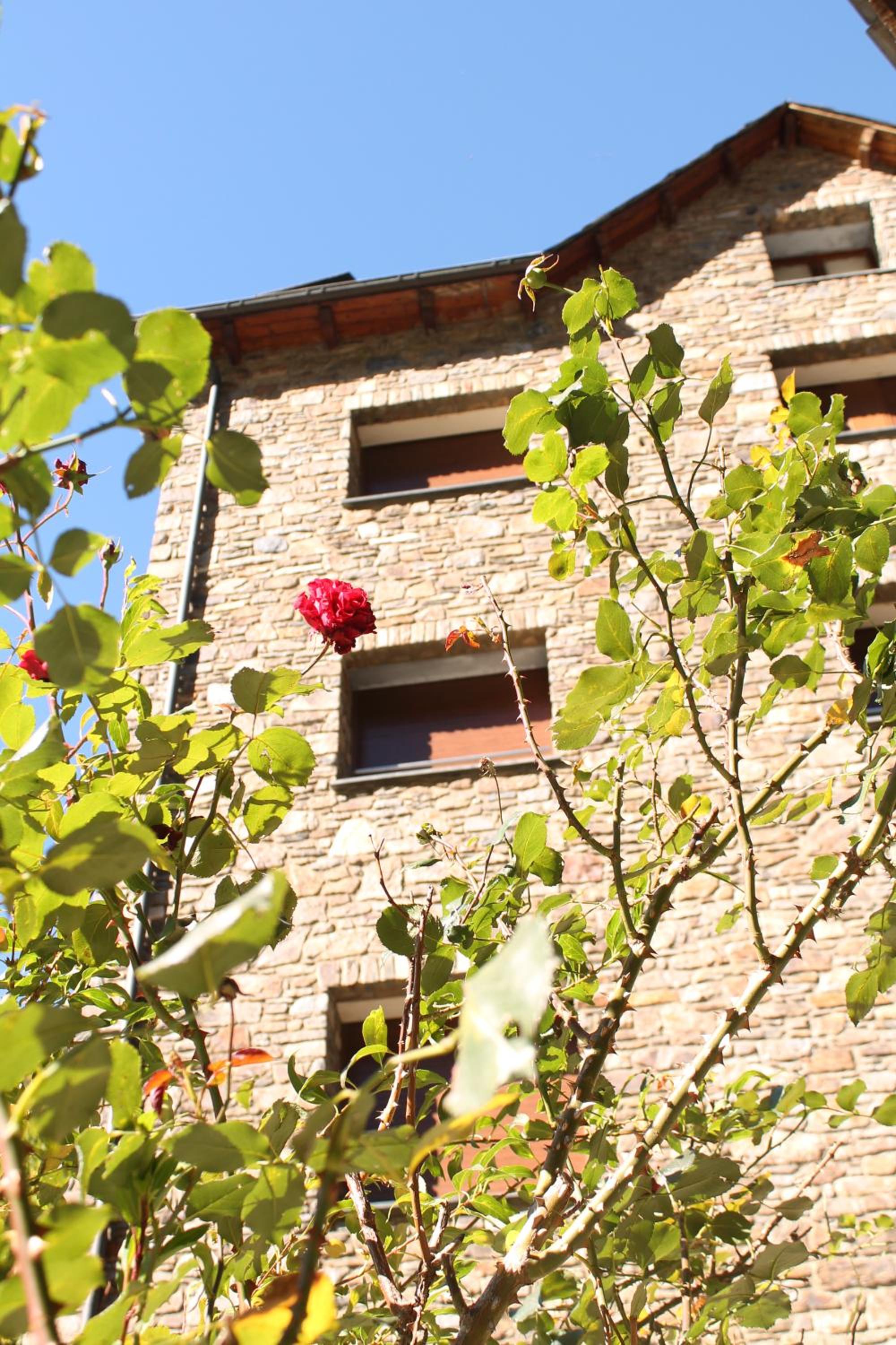 Apartaments Vilaró