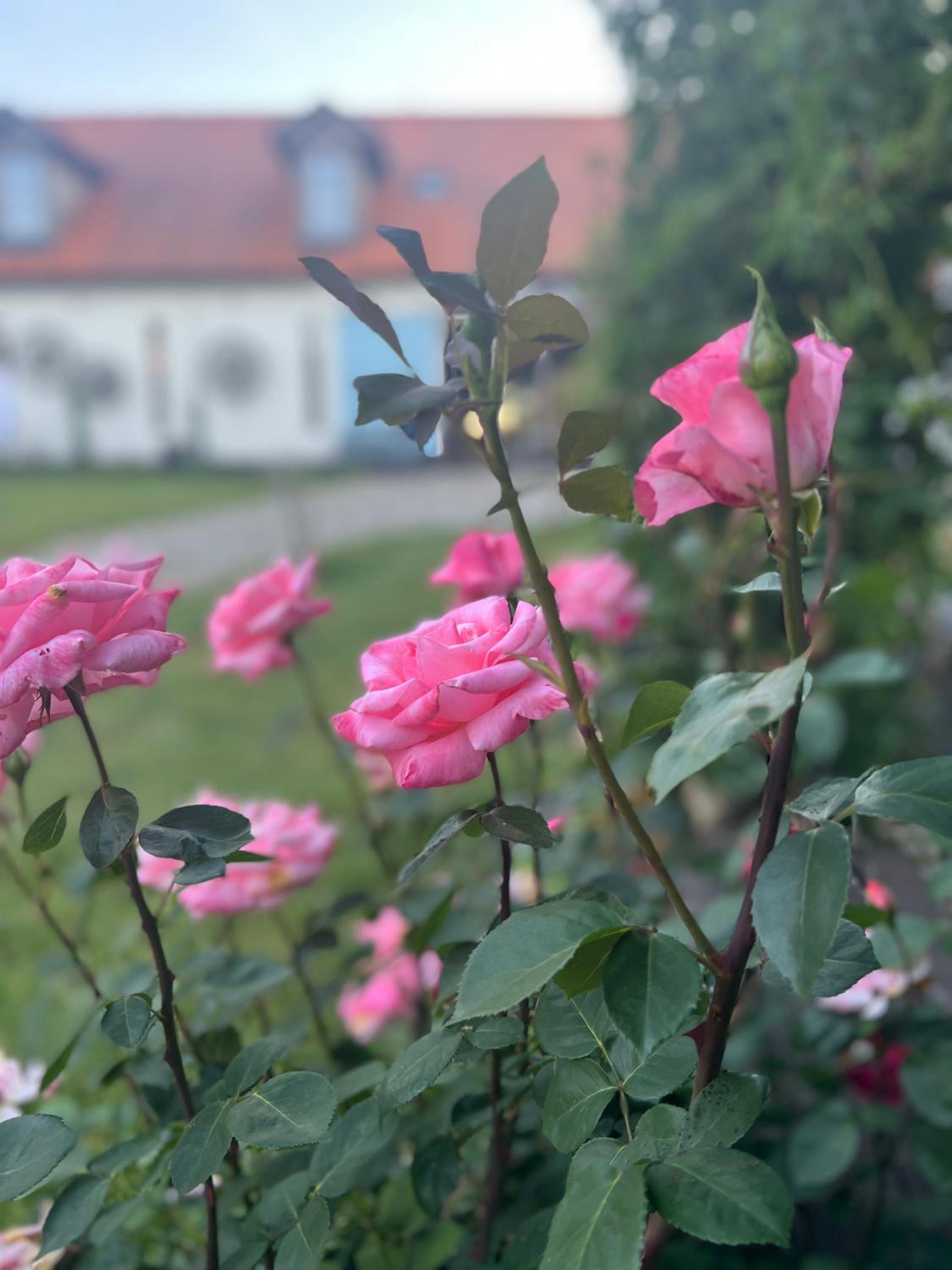 Wellness Hotel Boží oko