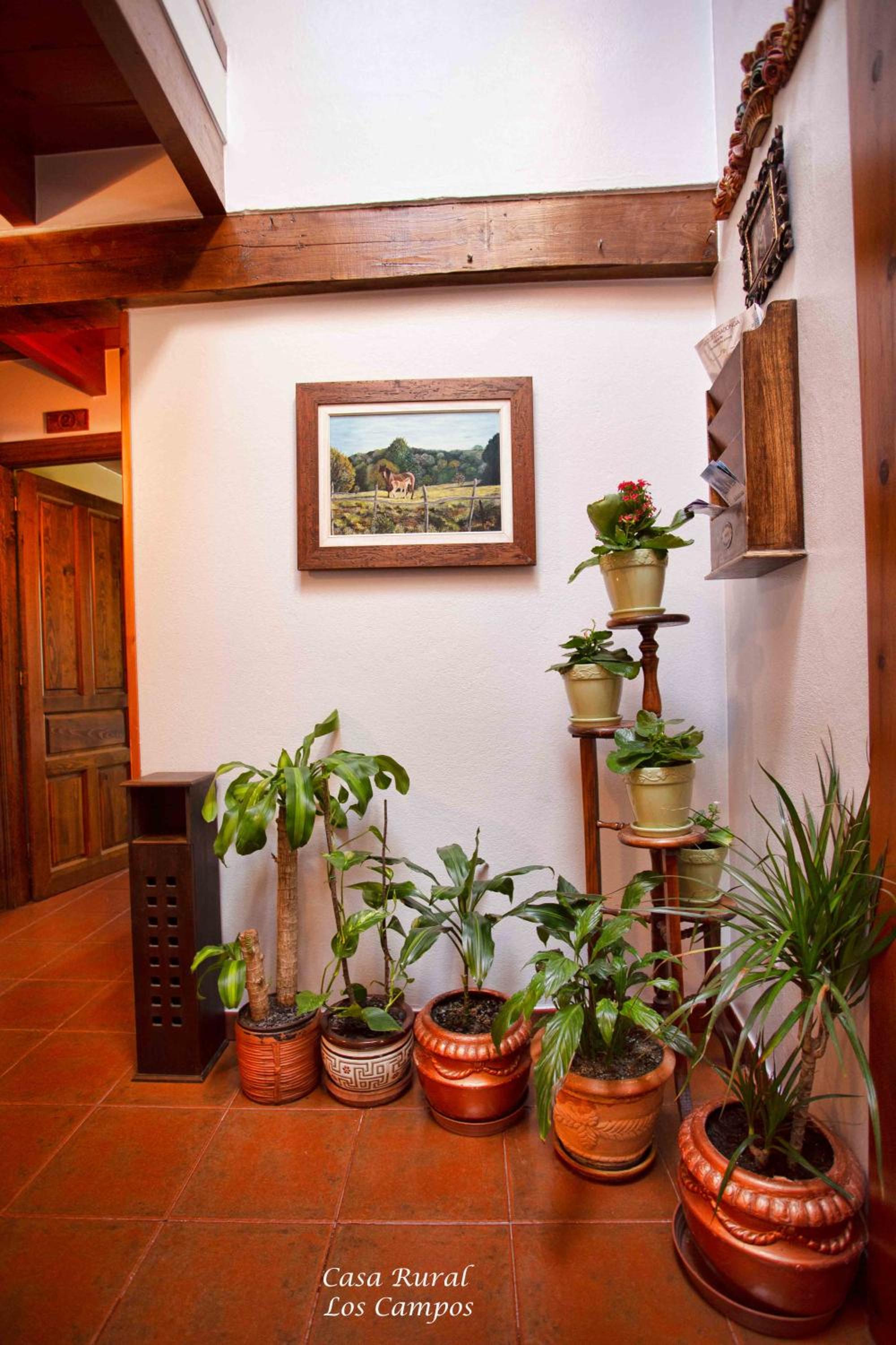 Casa Rural Los campos