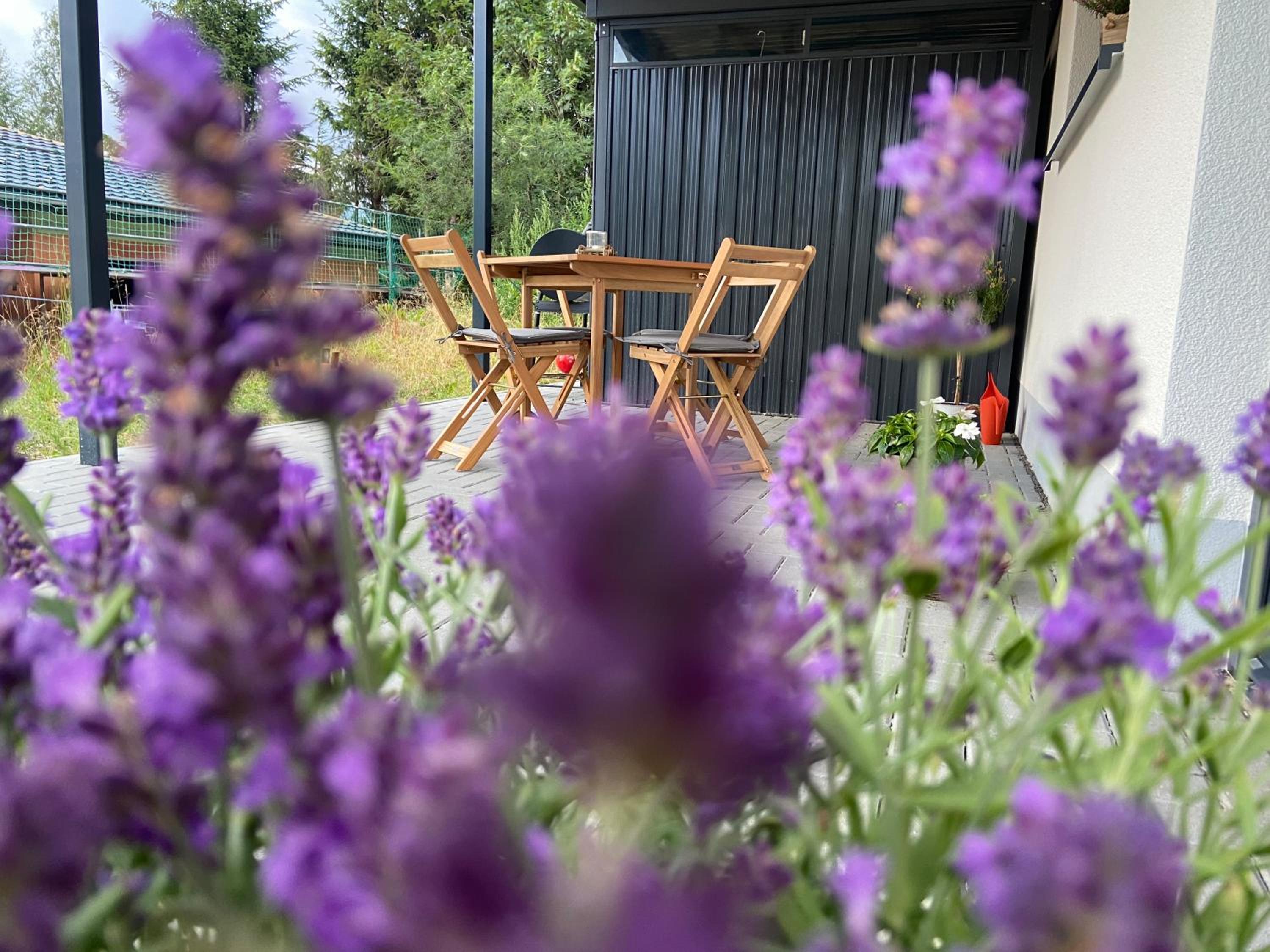 Ferienwohnung im Chalet Scheibenberg