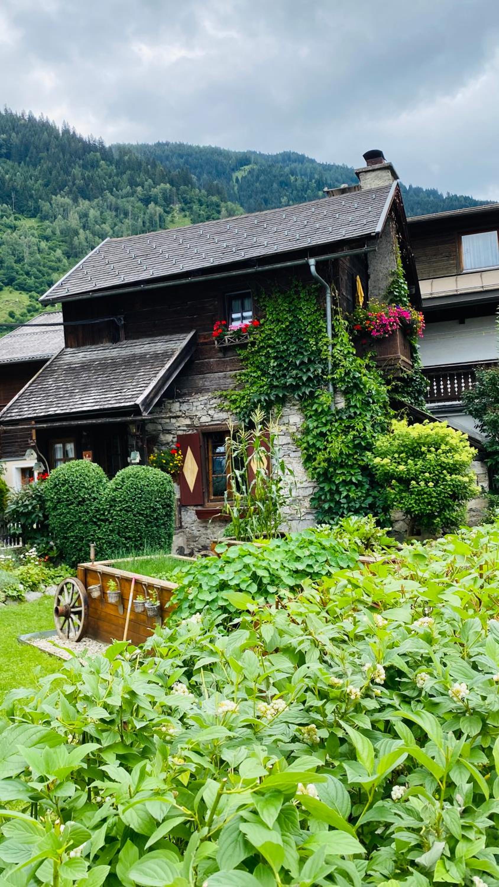 Wengerhof 