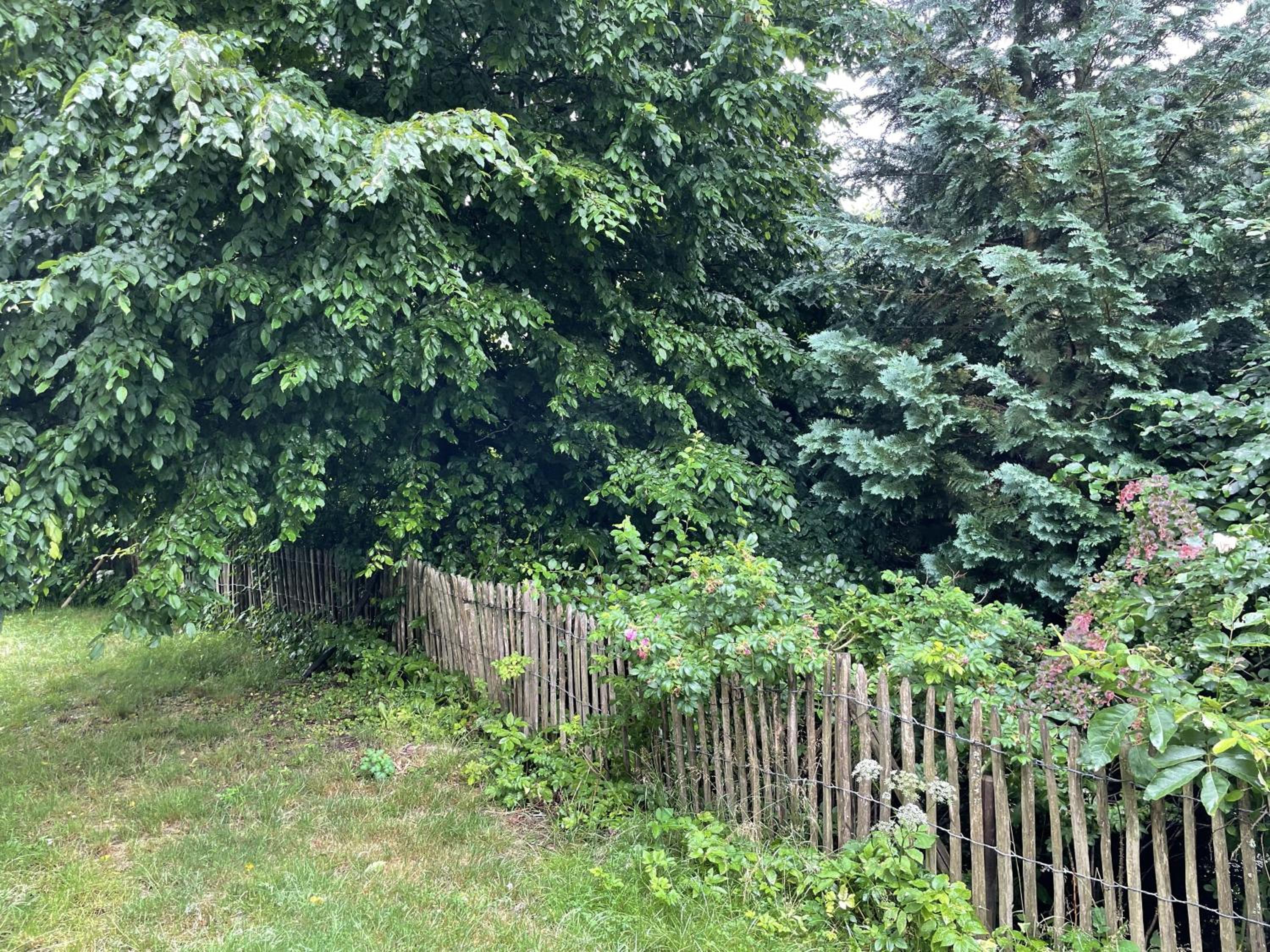 FeWo Wald Idyllika
