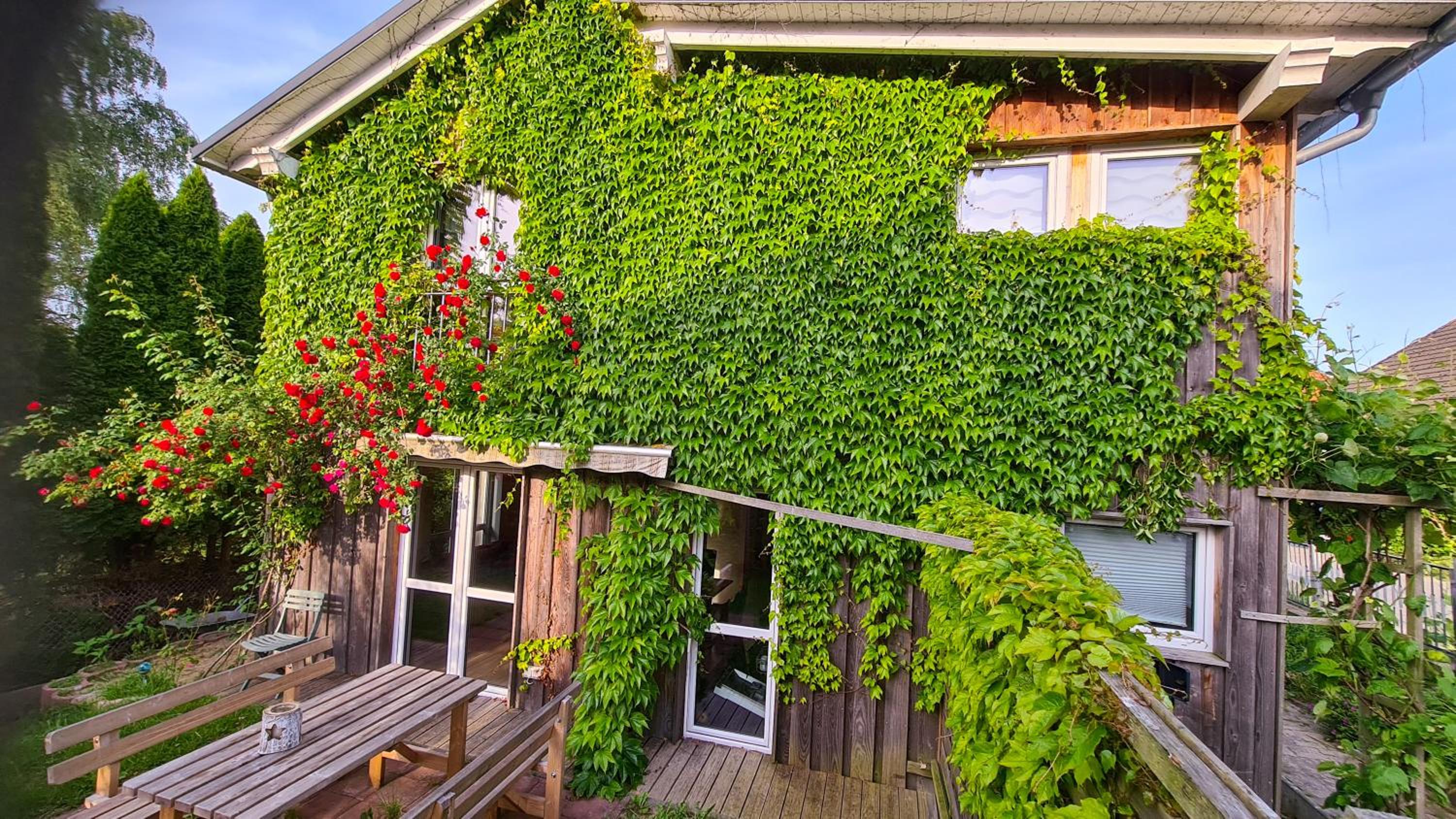 Grünes Sundchalet