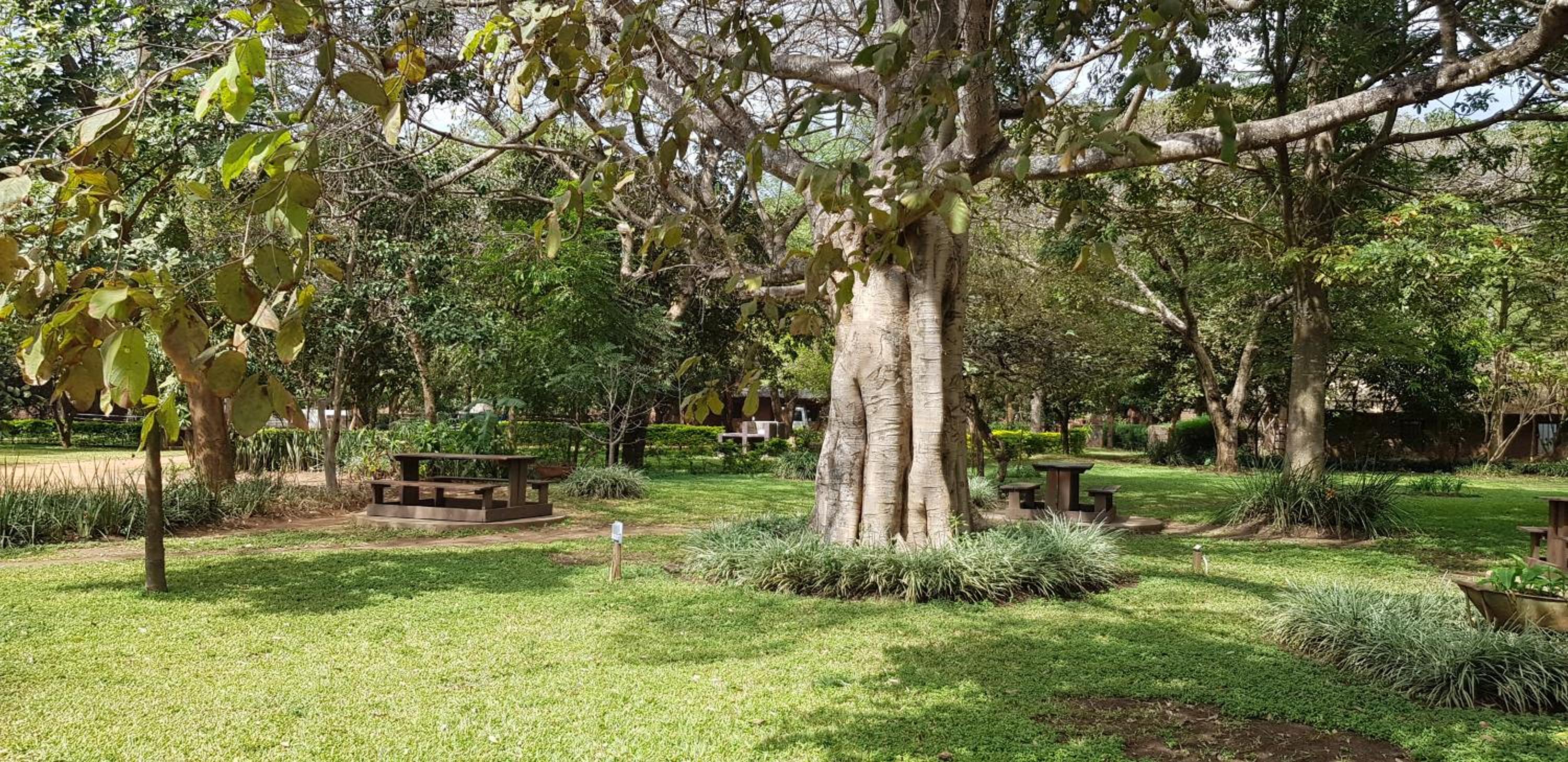 Barefoot Lodge and Safaris - Malawi