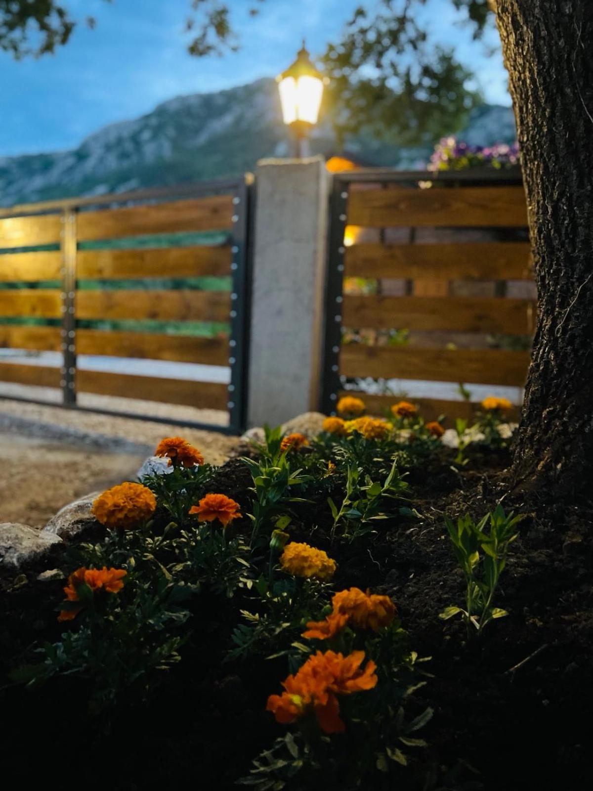 Guest House Mare