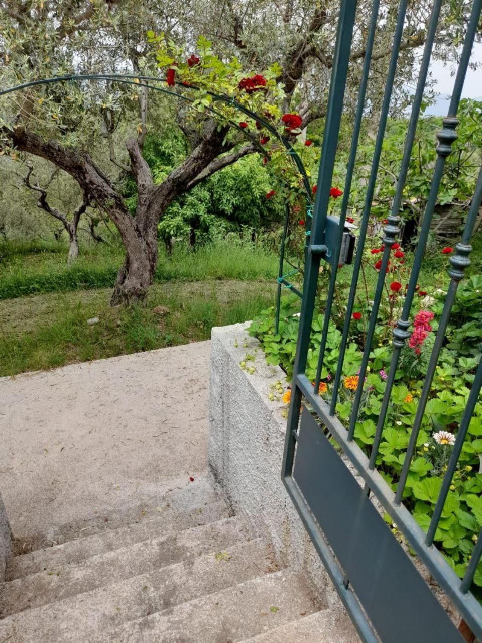 Photo 36