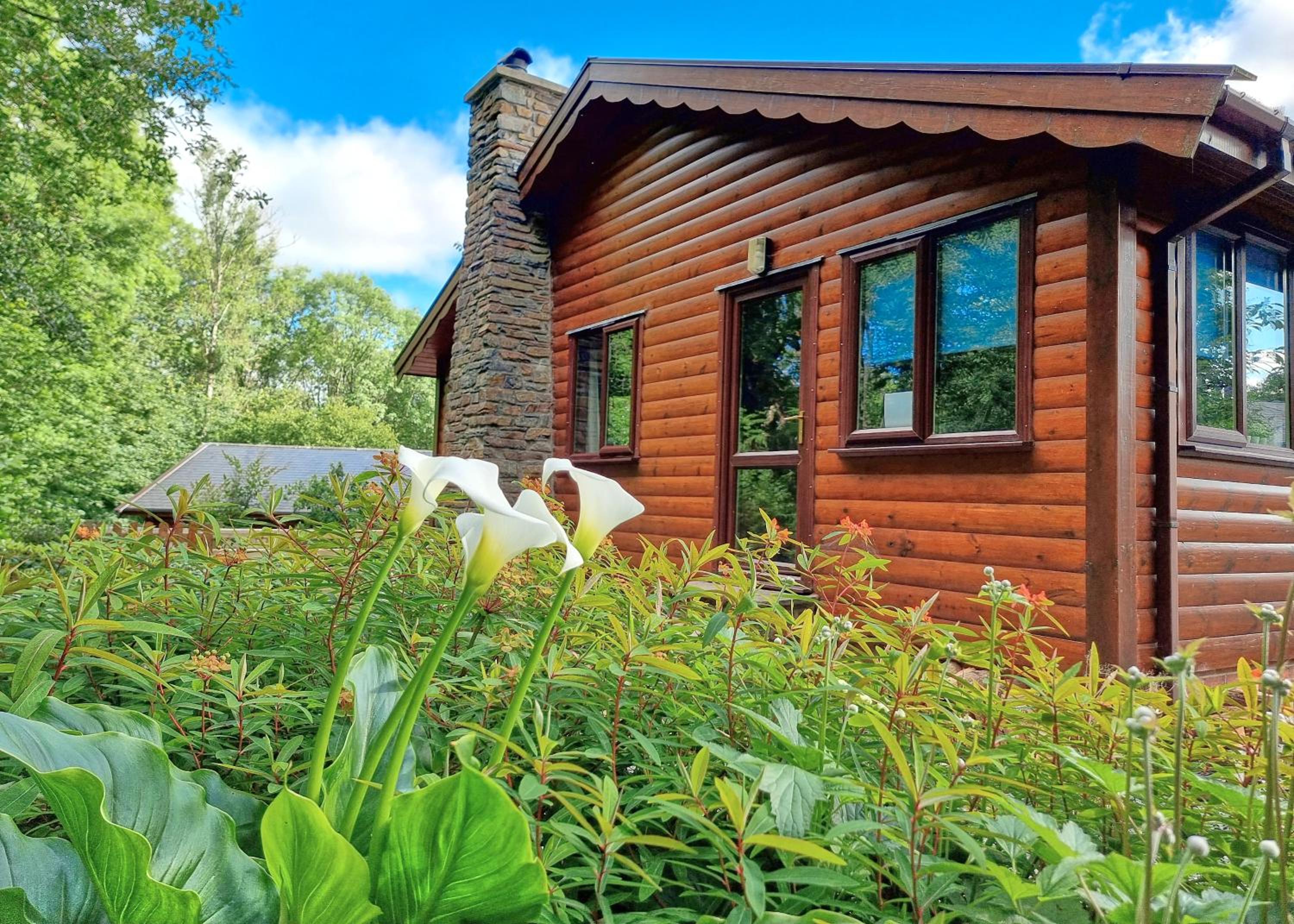 Luxury Wood Lodge with sauna, log burner & private woodland garden - Wnion Wood Lodge