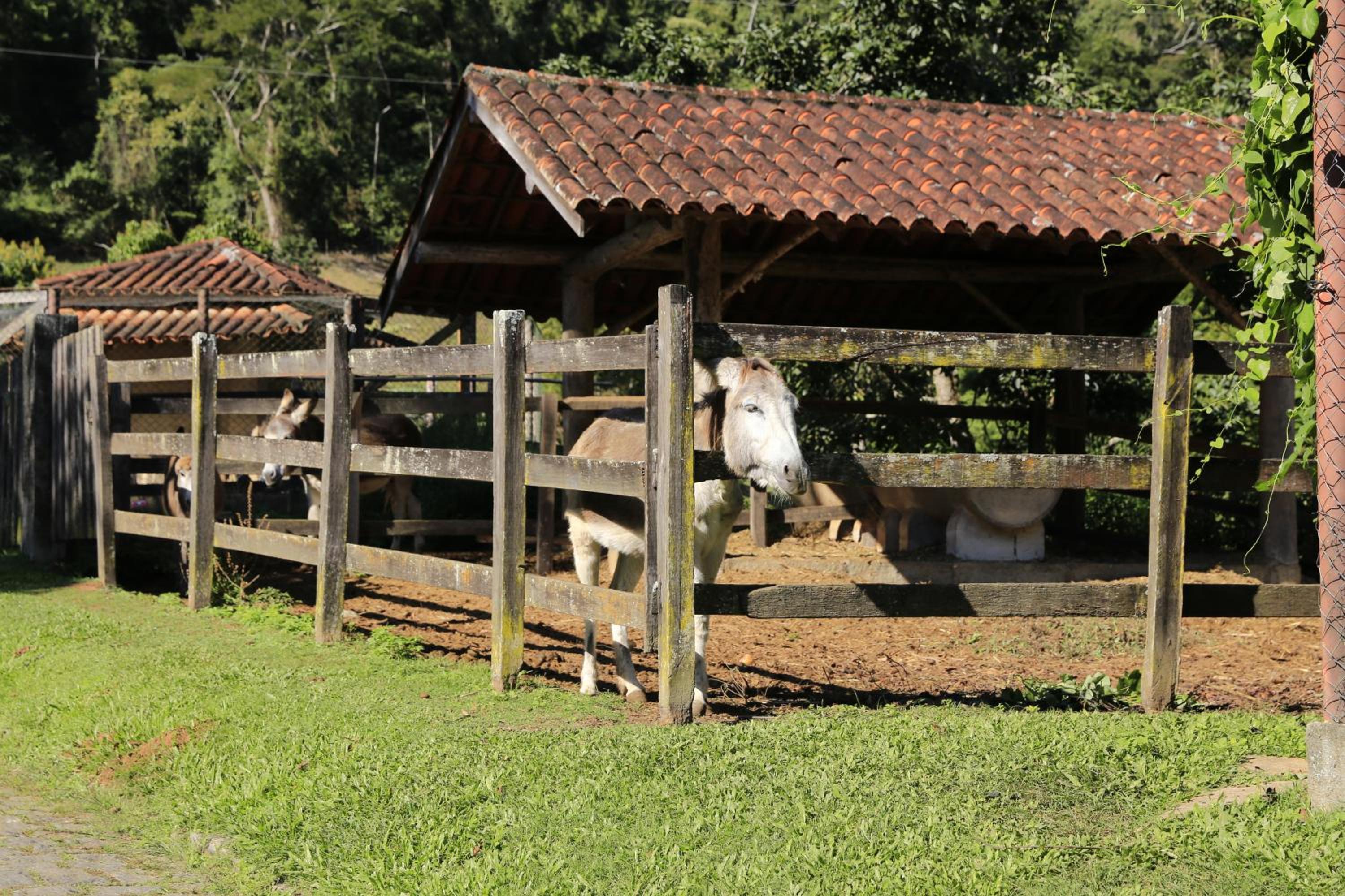 Auberge Suisse Pousada