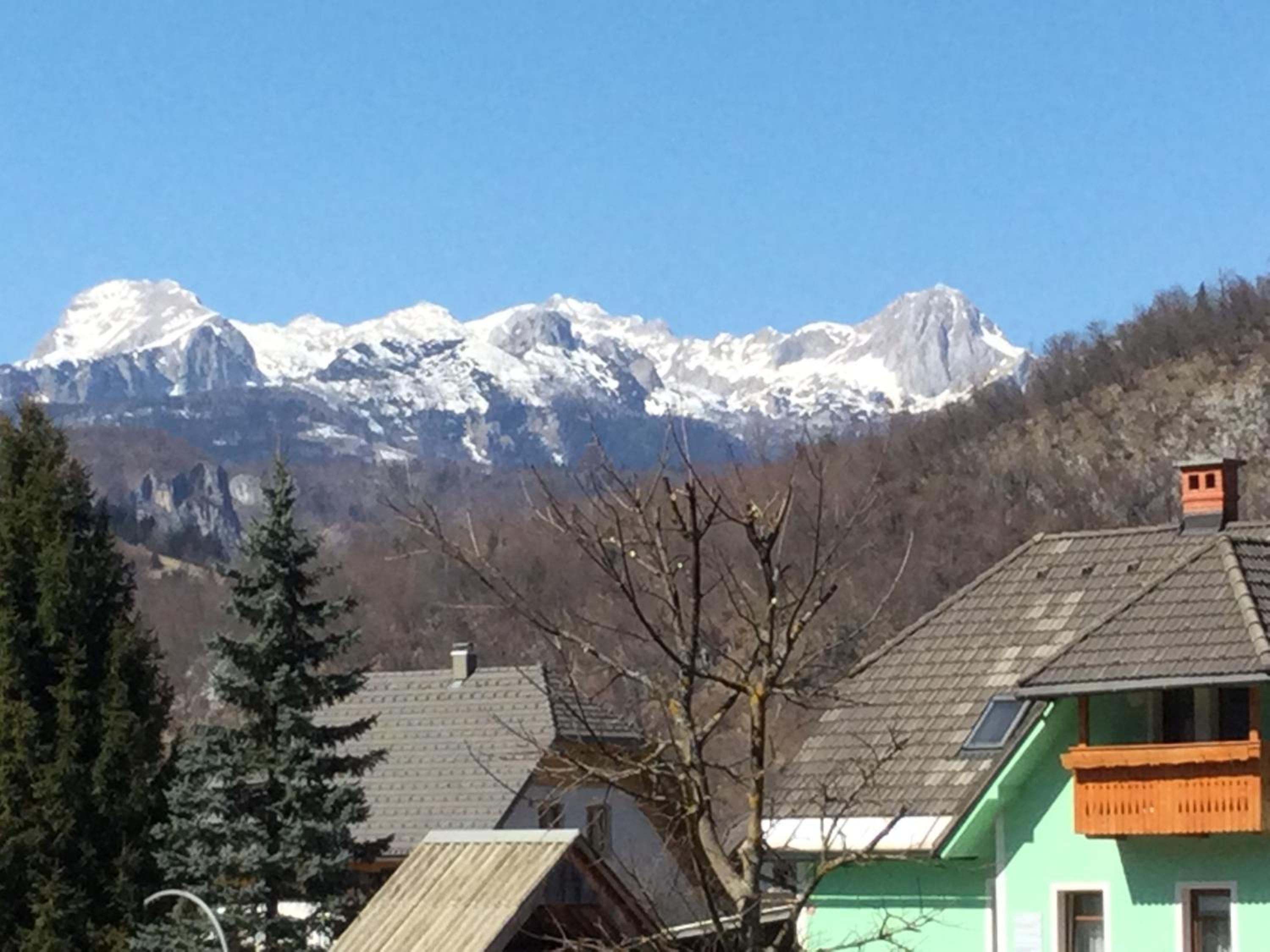 Photo 21
