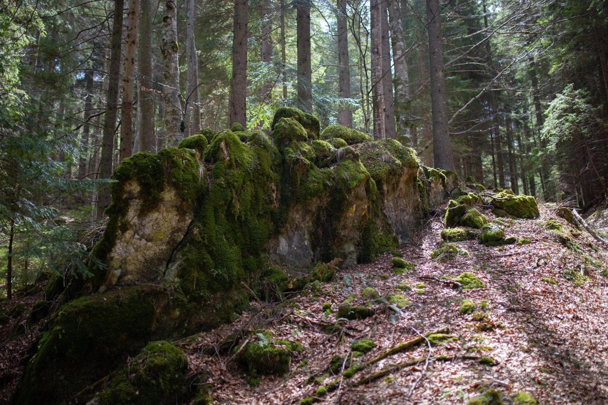 Photo 20