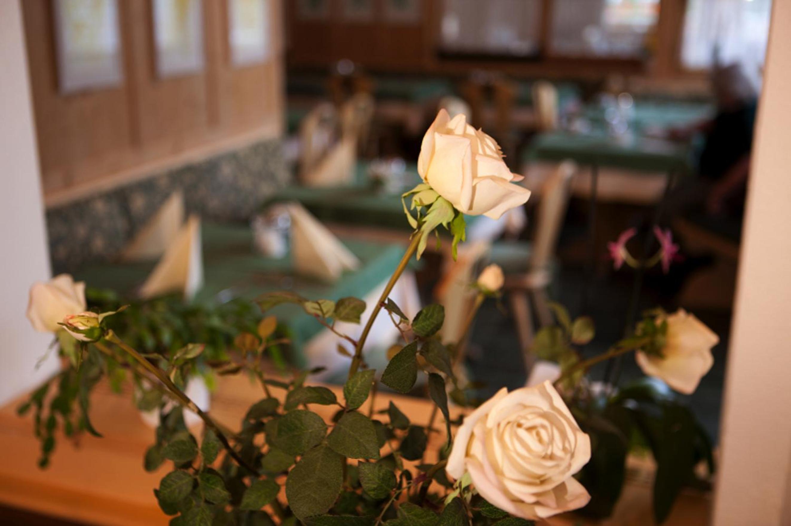Hotel Astras