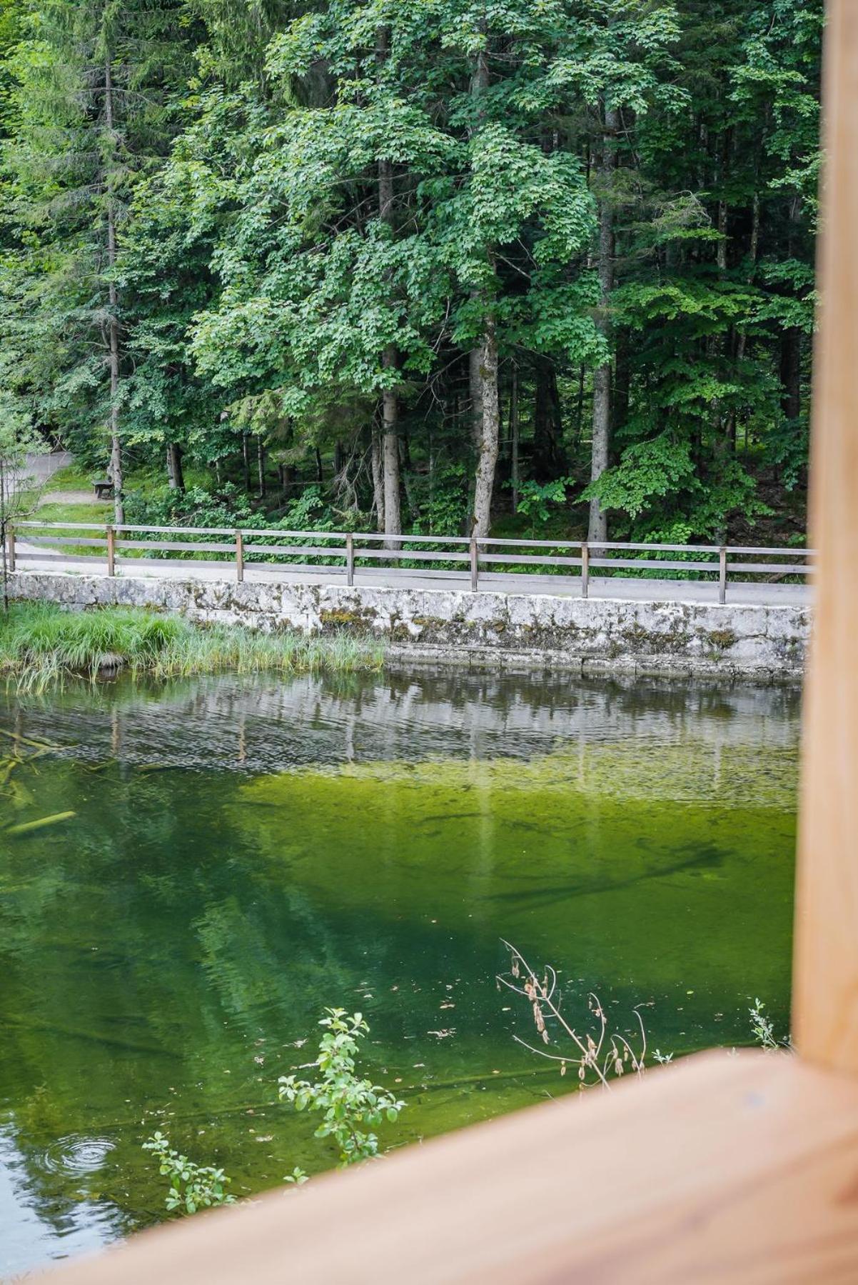 Forsthaus Toplitzsee