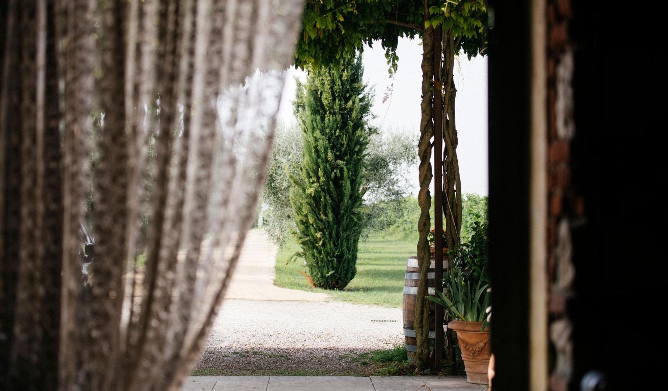 Dimora Buglioni Wine Relais, photo 28