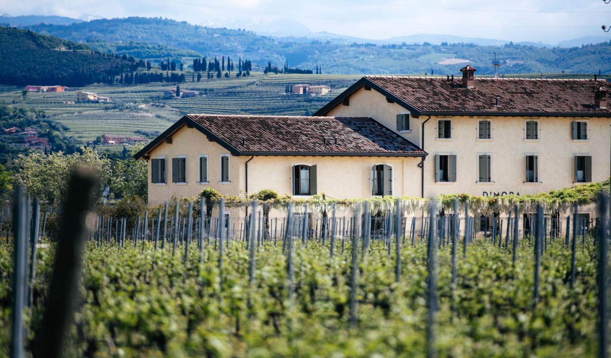 Dimora Buglioni Wine Relais, photo 43