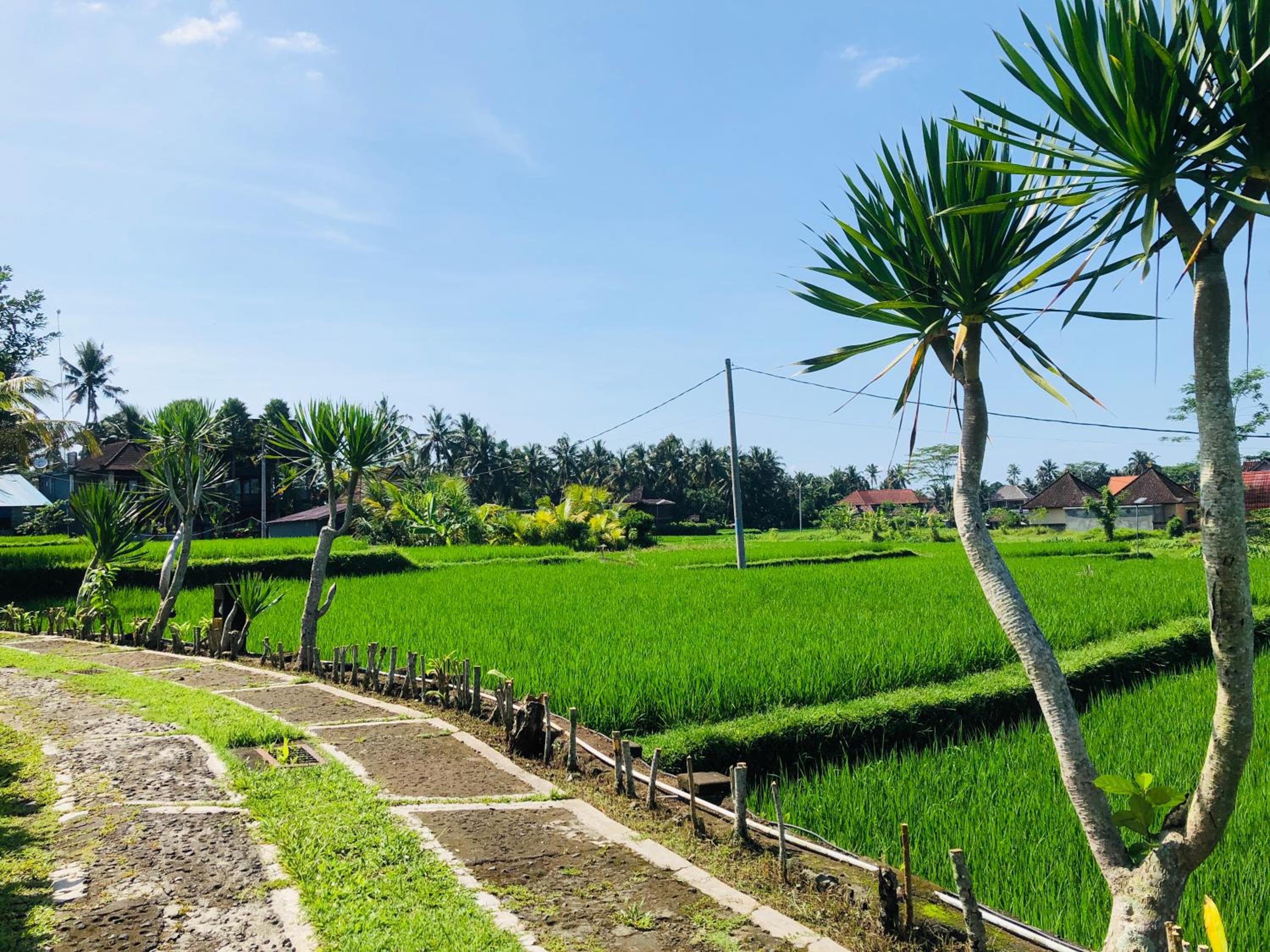 Villa JJ and Spa Ubud