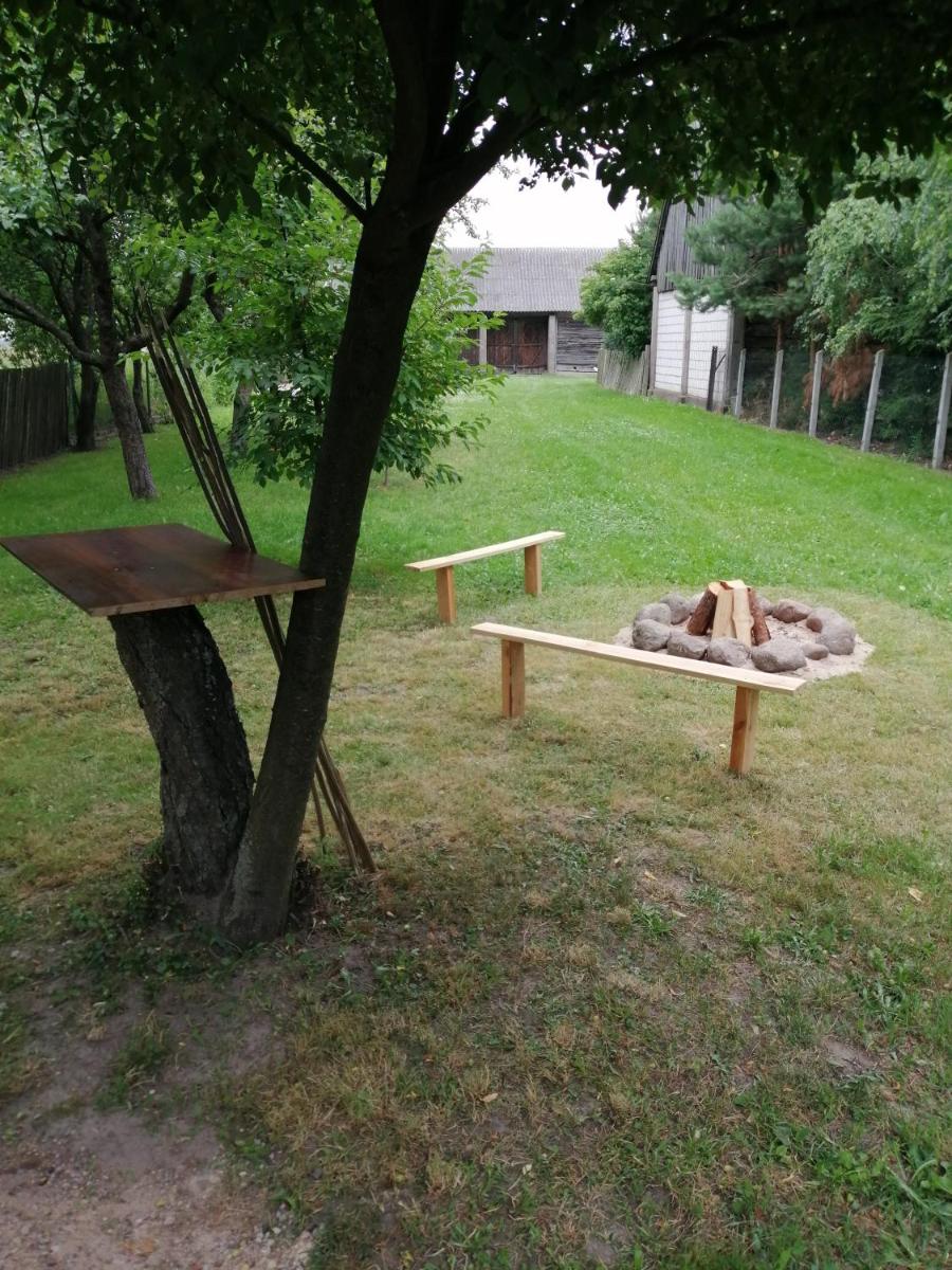 Photo 17