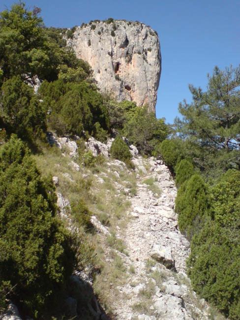 Photo 49