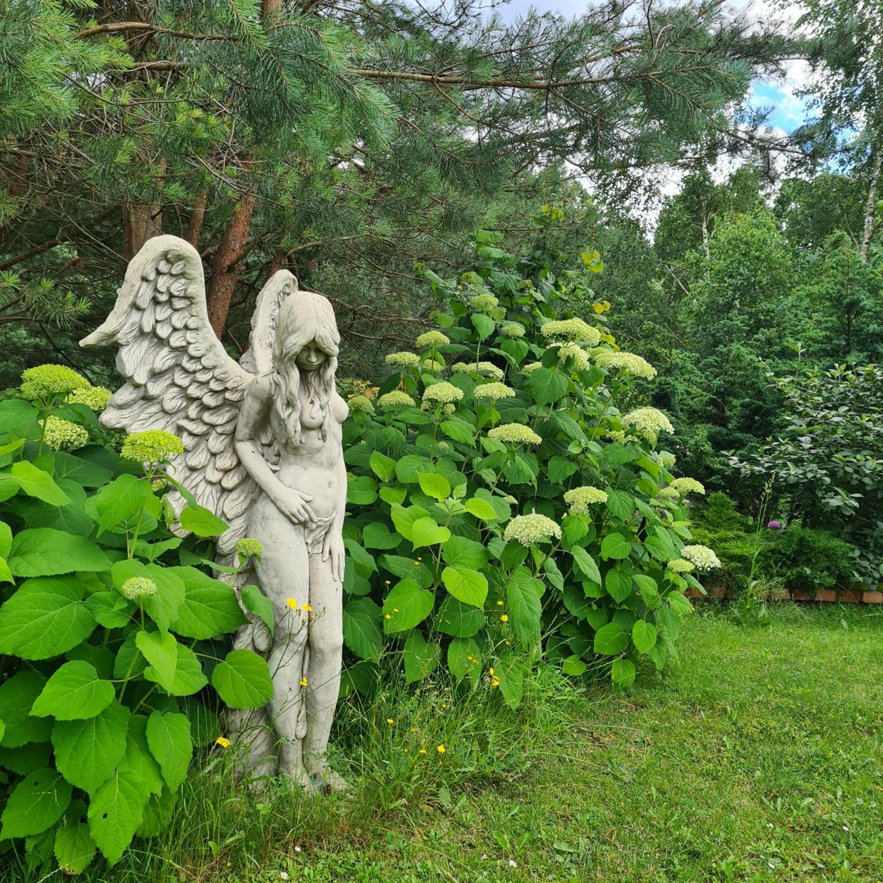 Photo 48