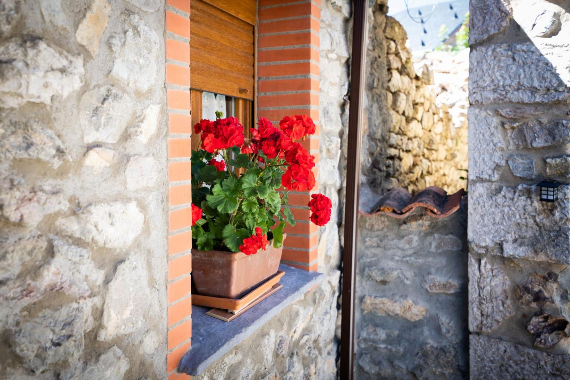 Casa Rural Solapeña
