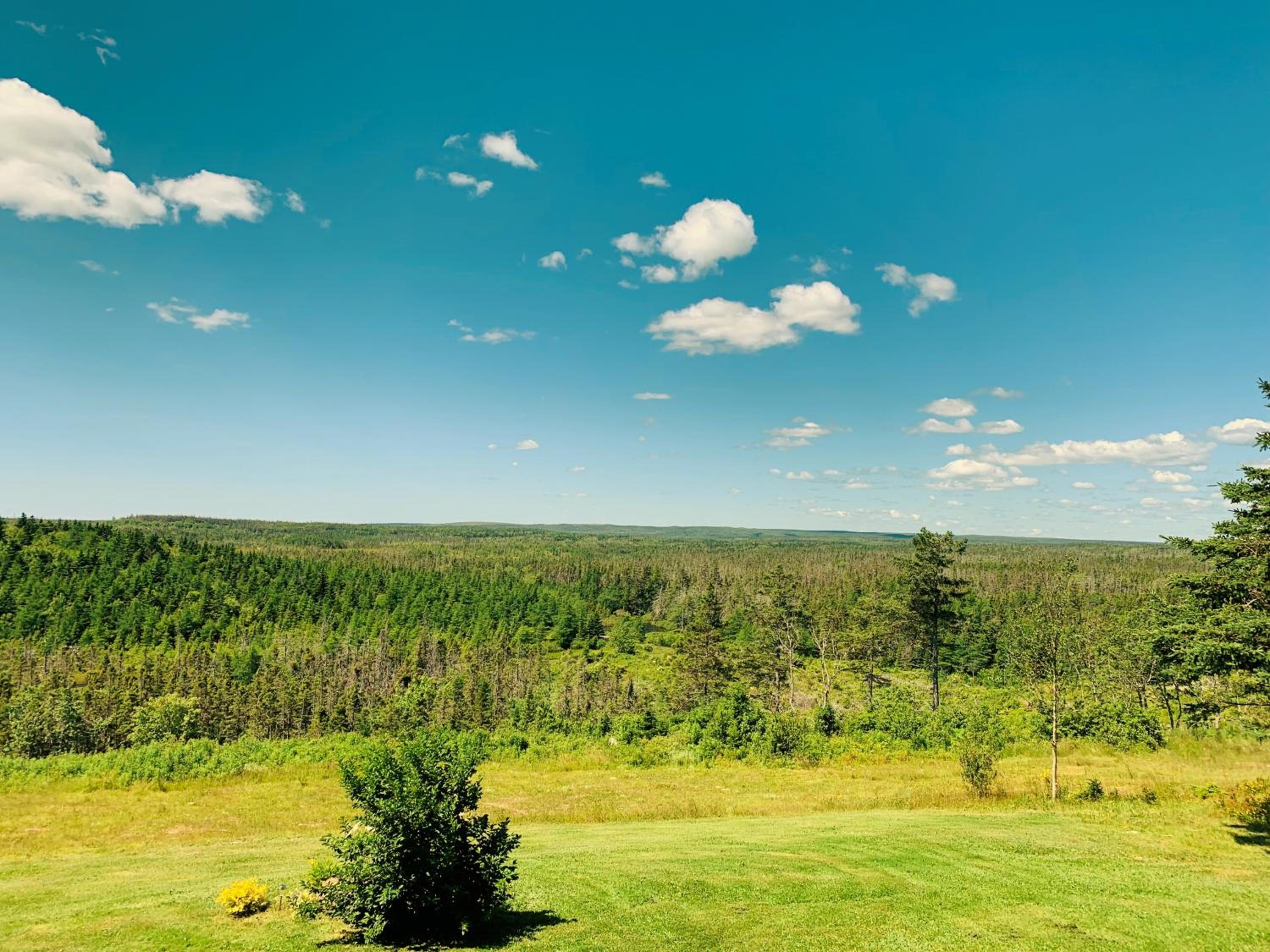 Eagle Valley Cottages view 4