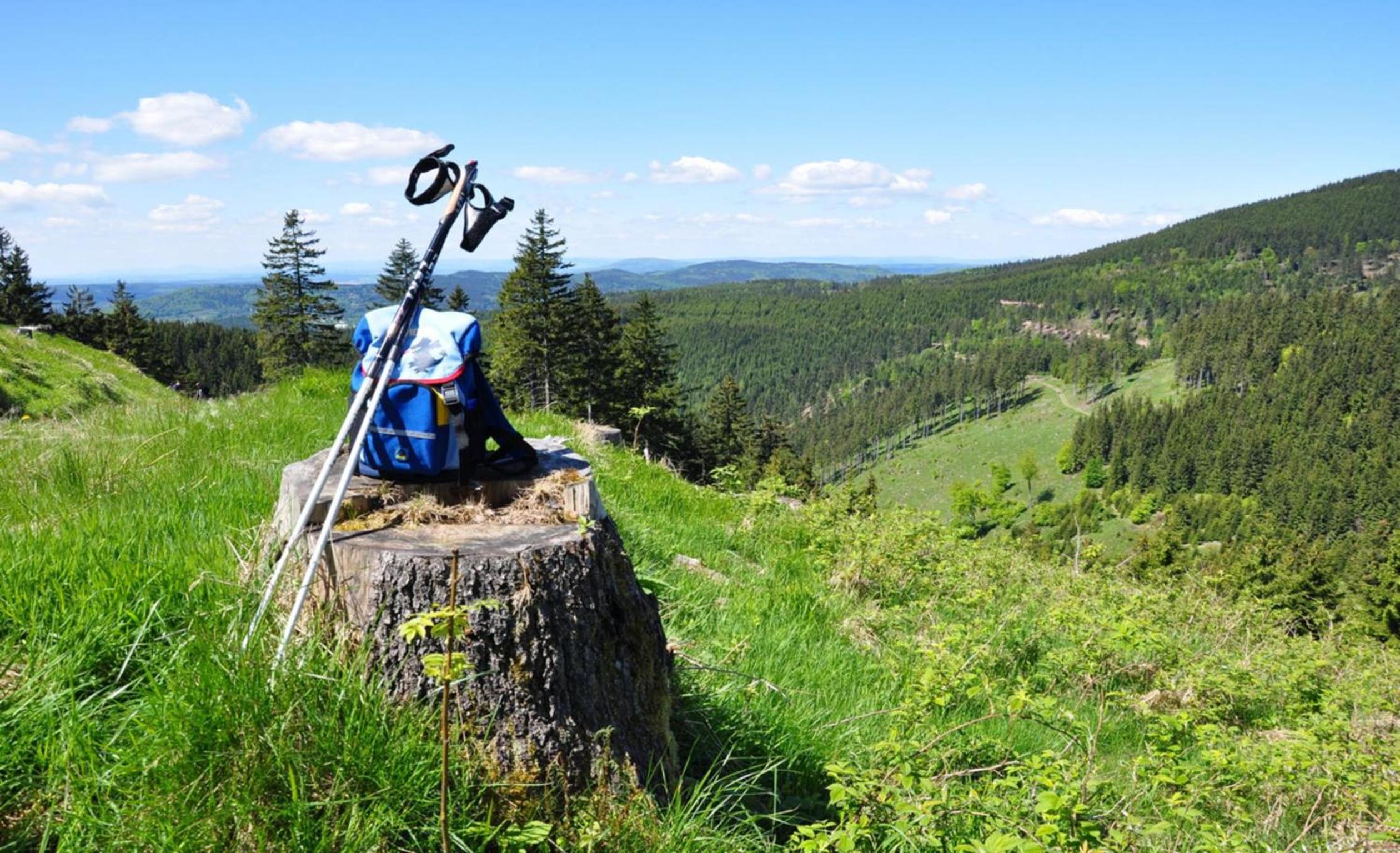 Ferienhaus Nr 3 Sporthotel Oberhof