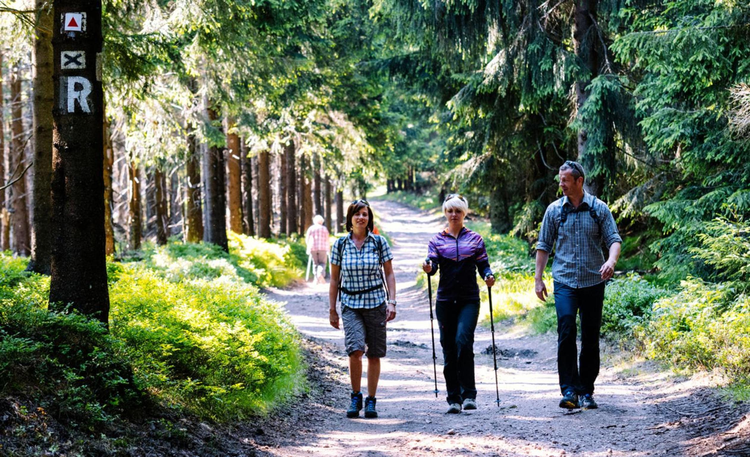 Ferienhaus Nr 3 Sporthotel Oberhof