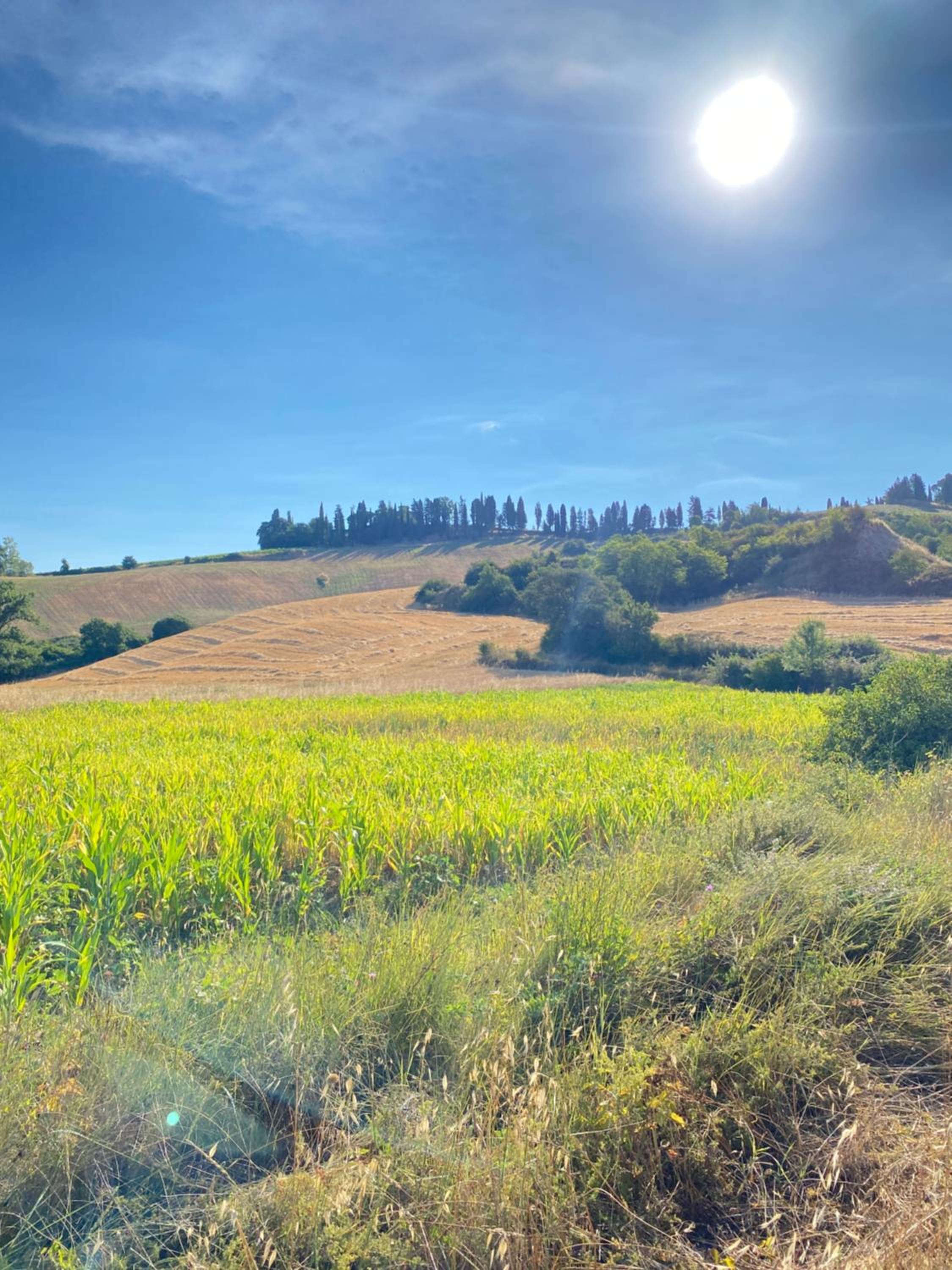 Agriturismo I Moricci