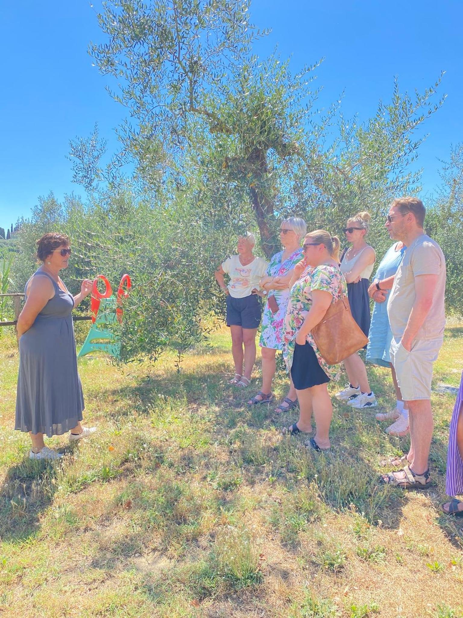 Agriturismo I Moricci