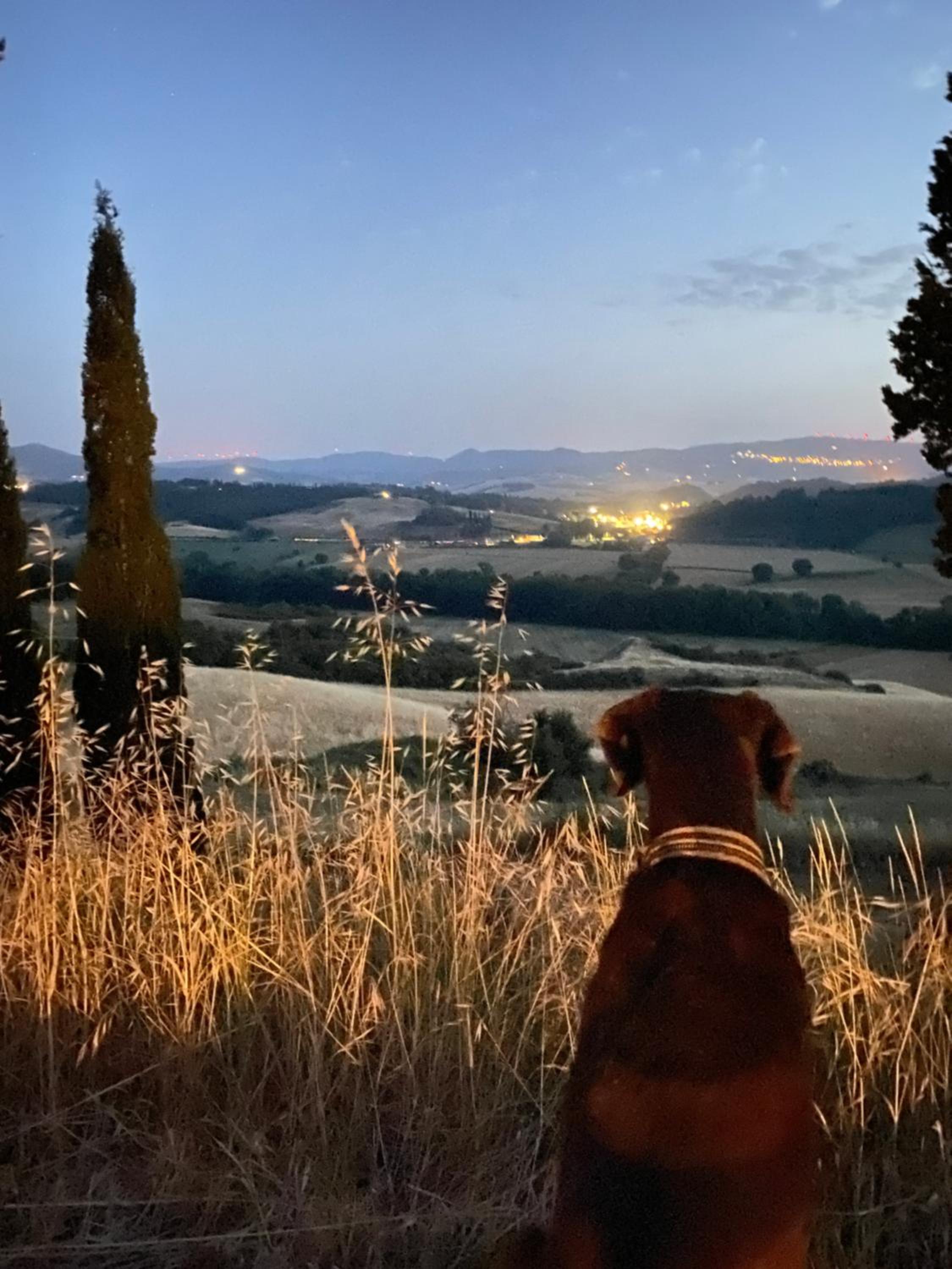 Agriturismo I Moricci