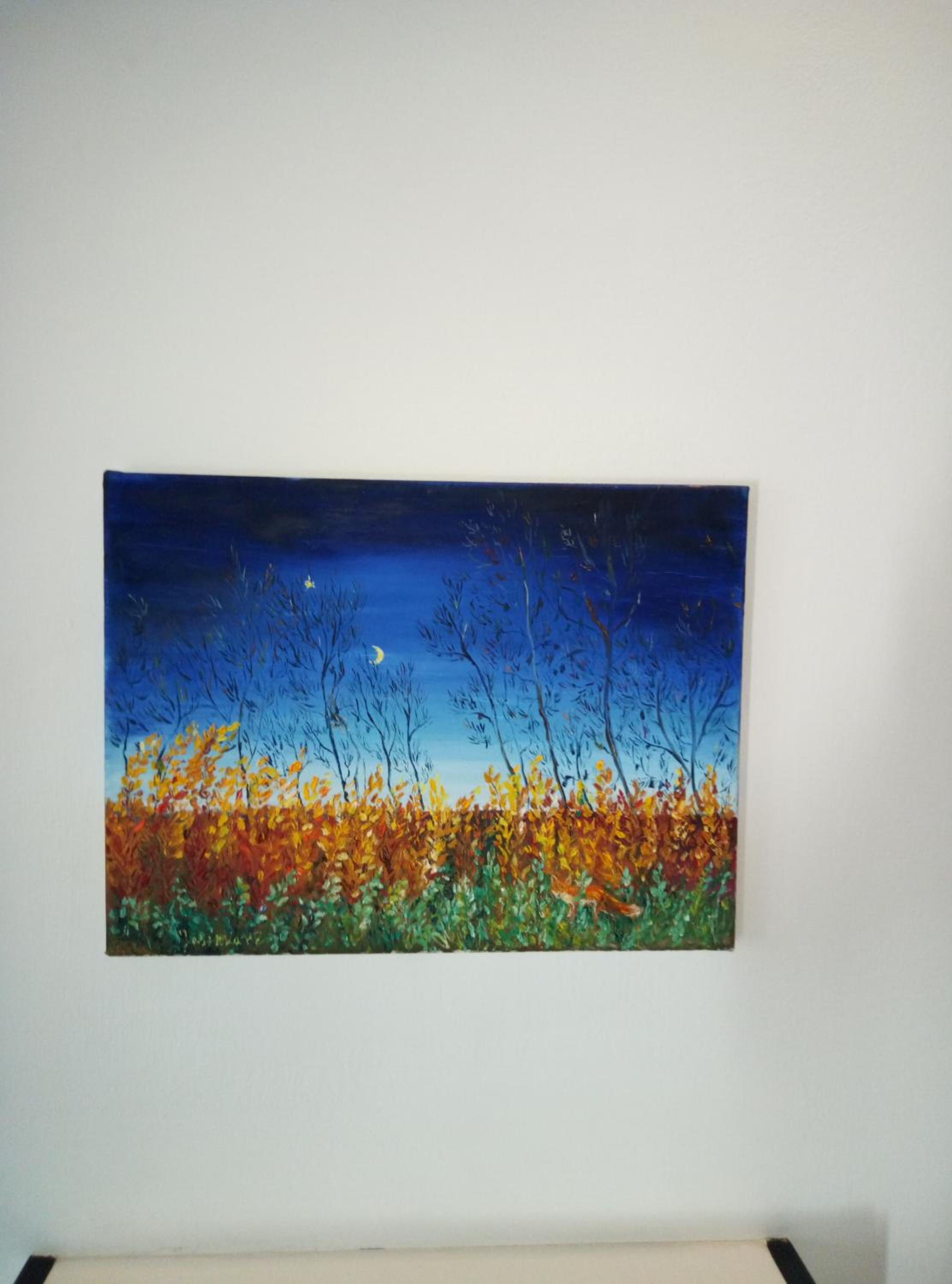 Photo 42