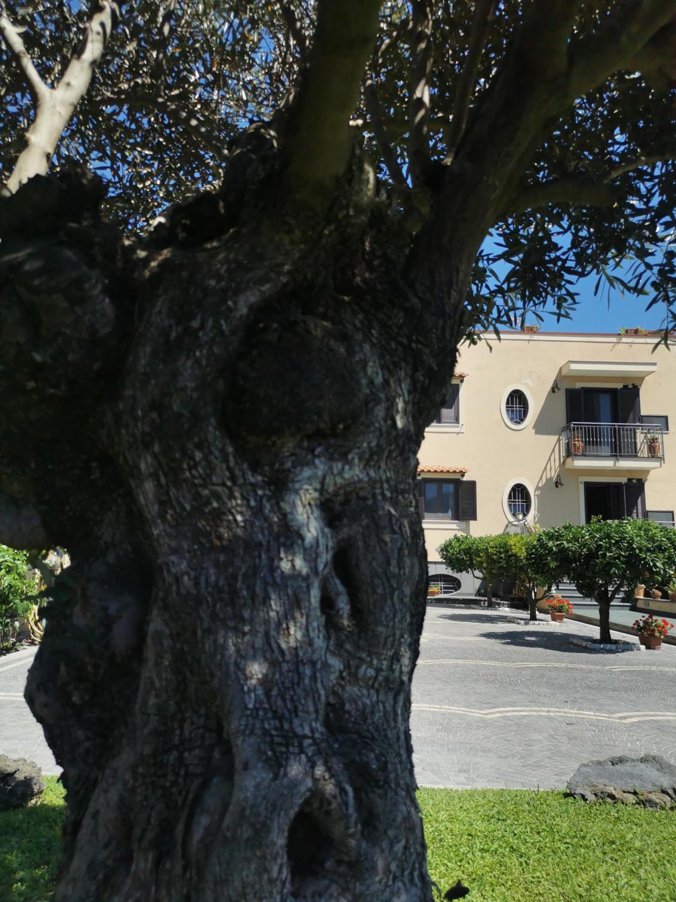 Atrium Pompei