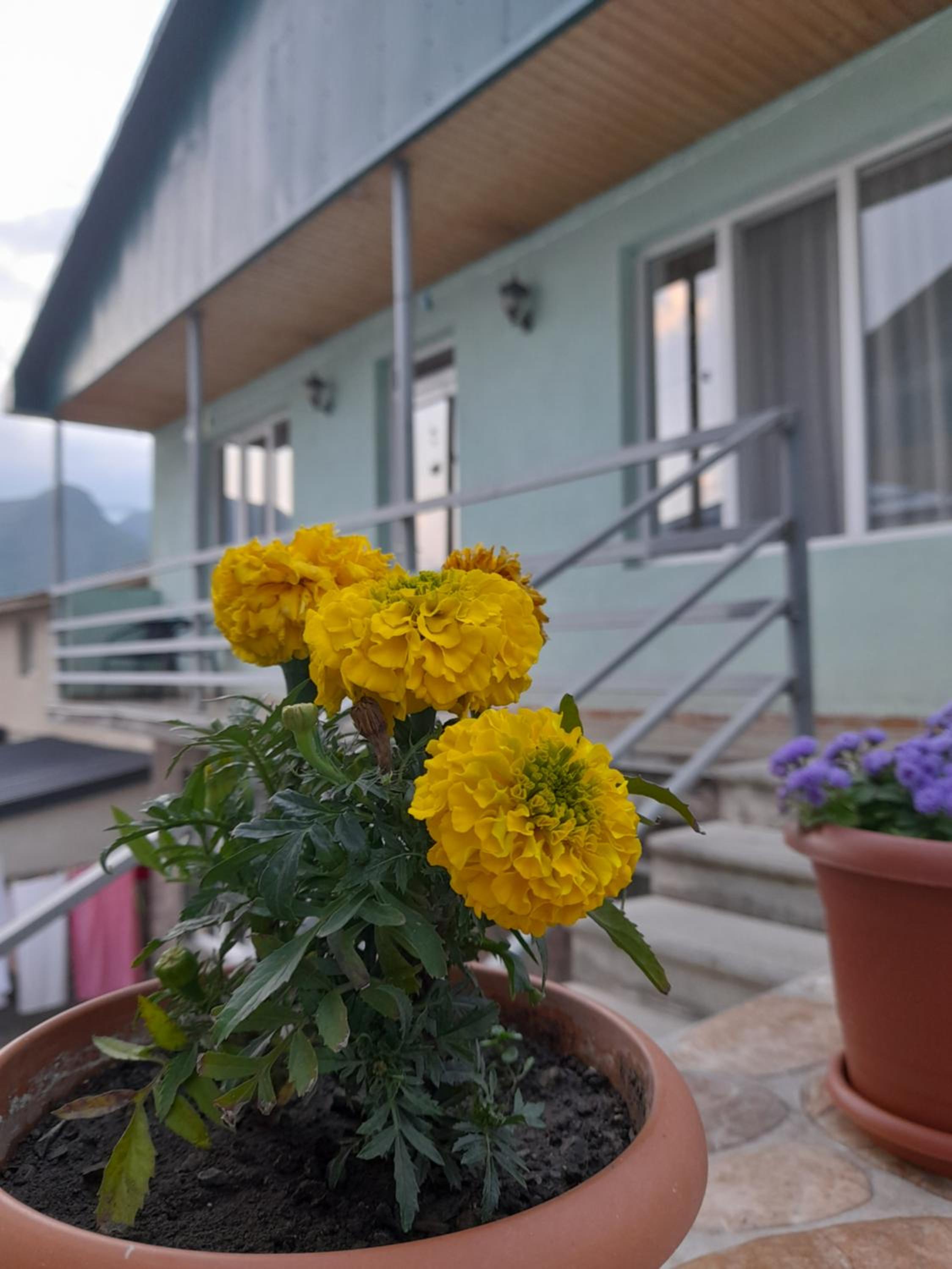 Kera Guest House view 2