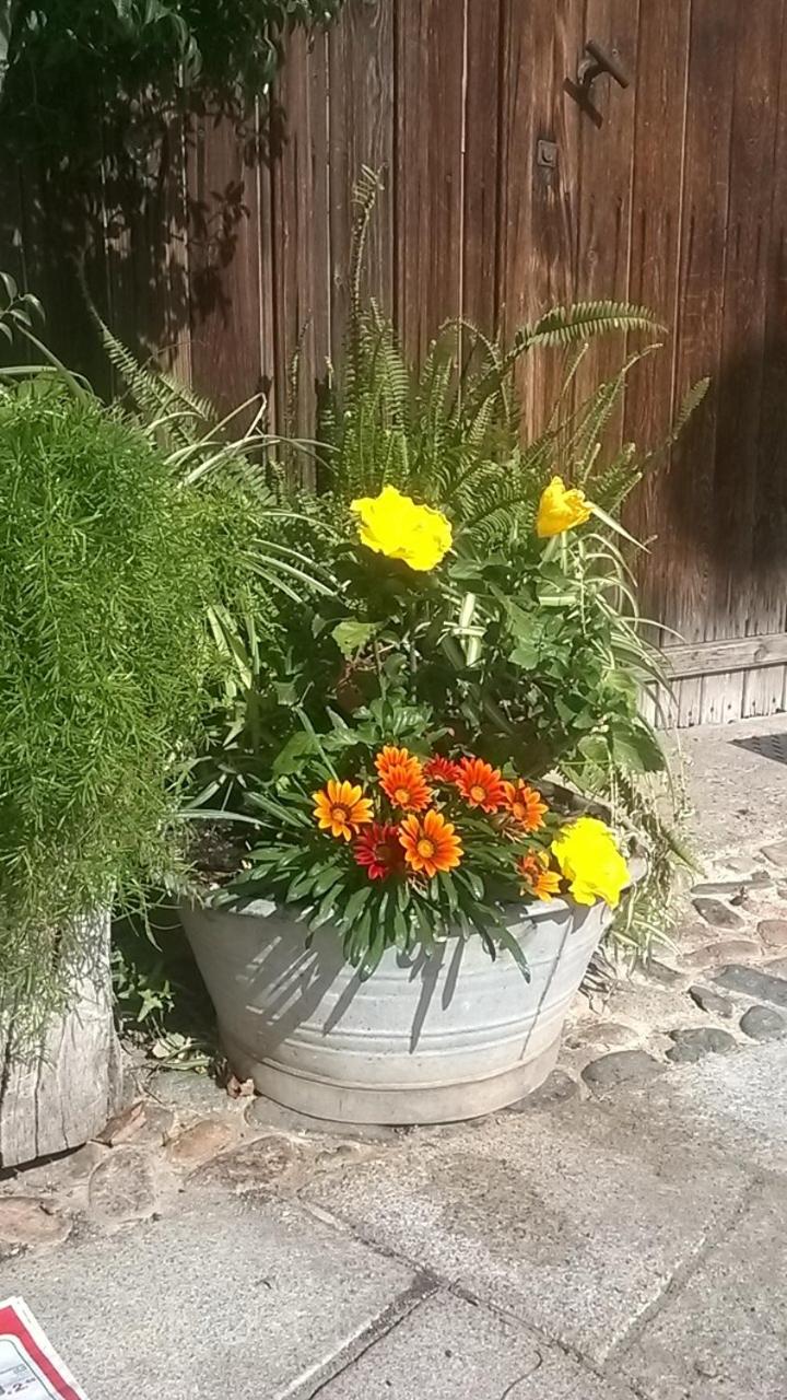 Photo 27