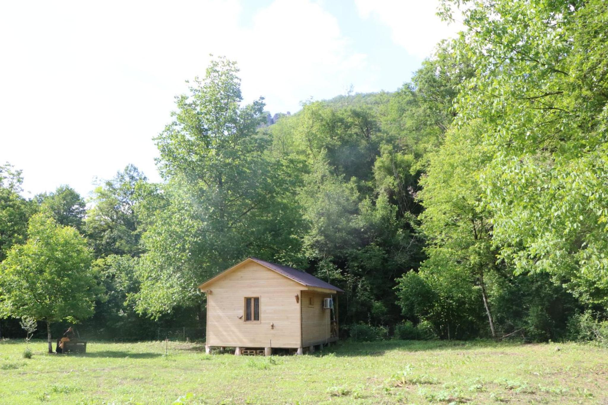 Photo 47