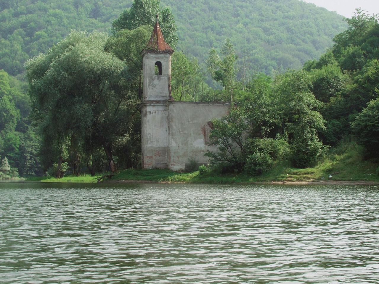 Photo 46