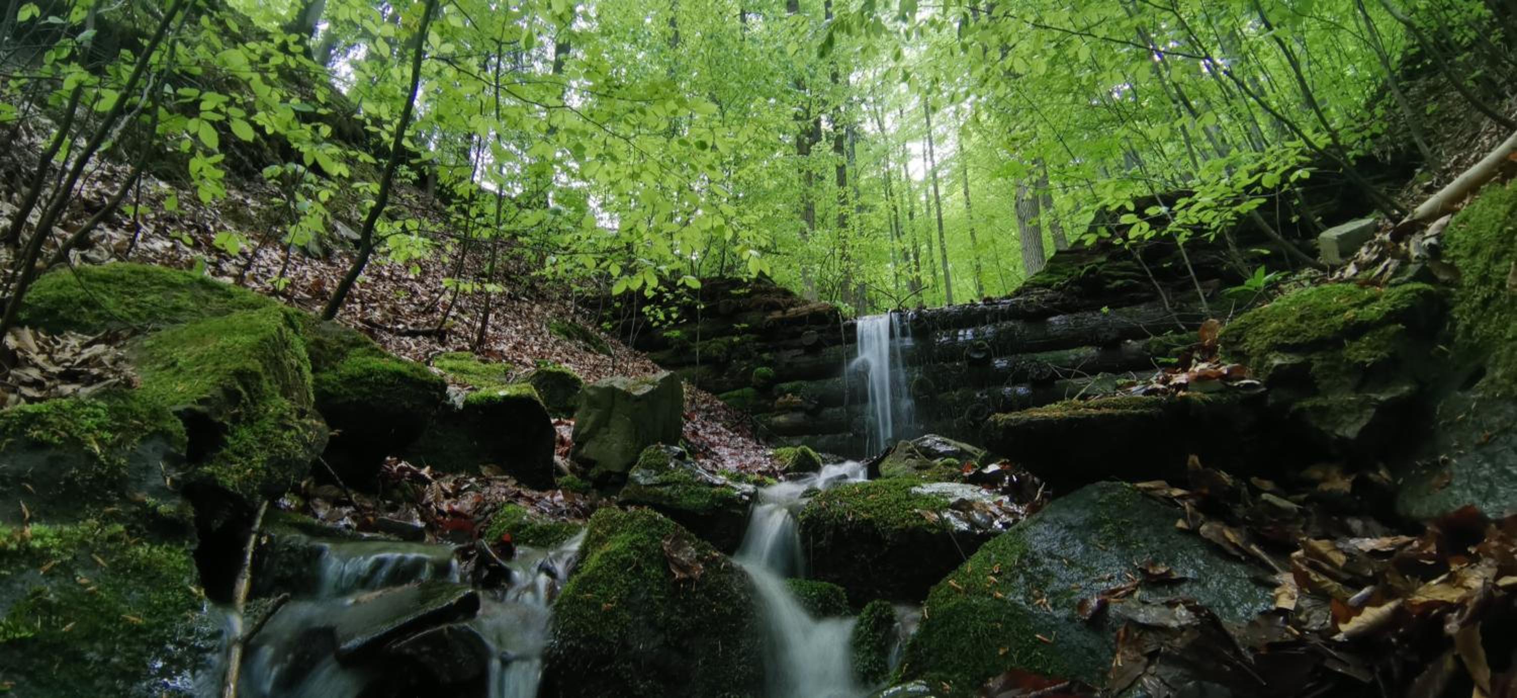 Penzion Rzehaczek