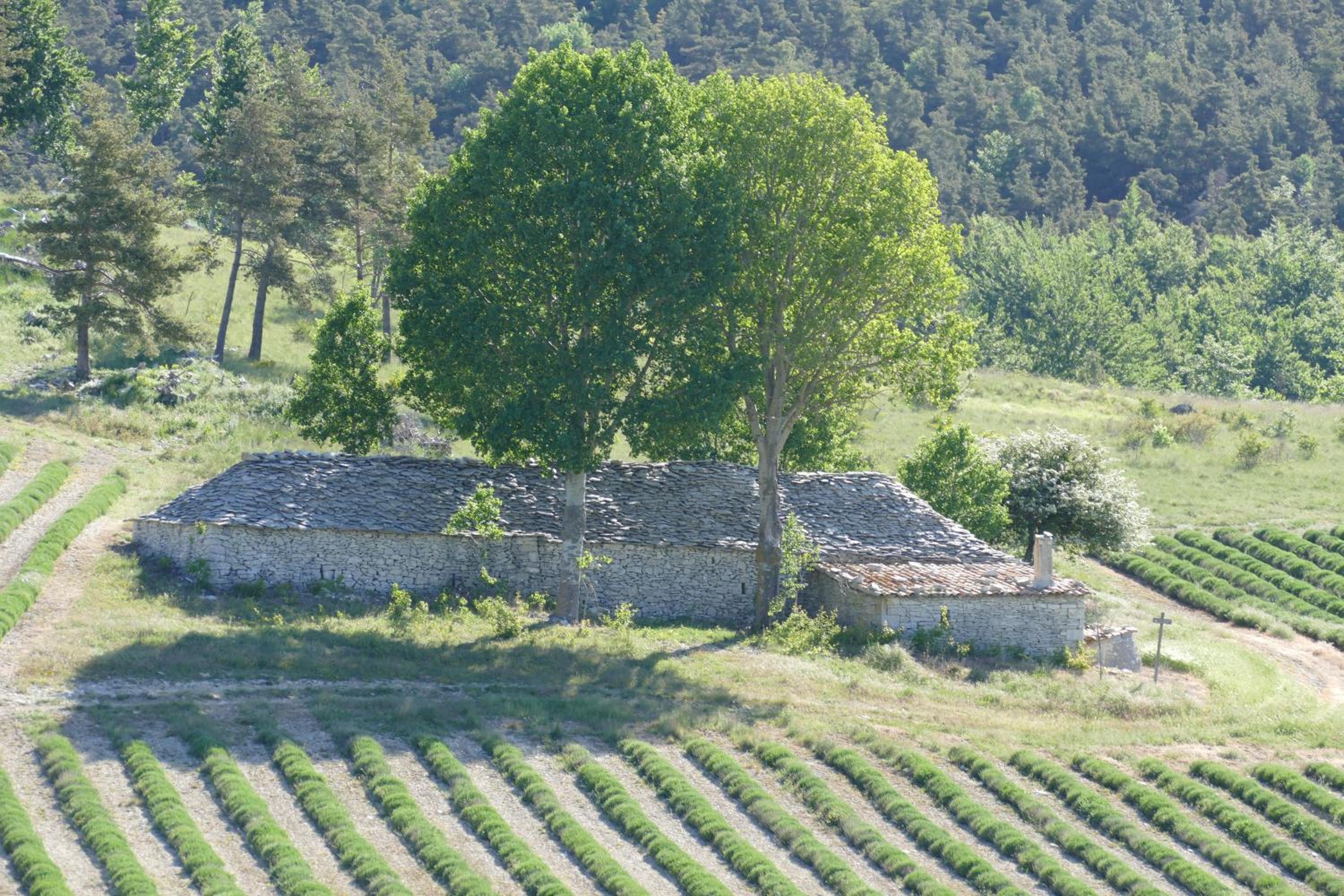 Les bois rouges view 2