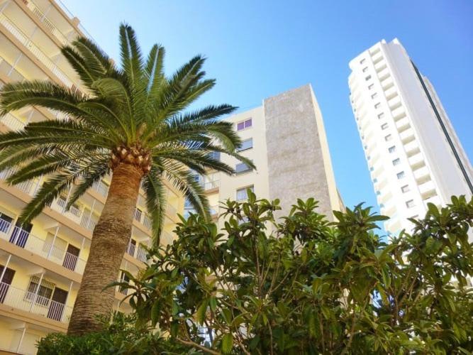 Appartement Rosa N&B met Groot Terras met Zeezicht -70m van Strand view 2
