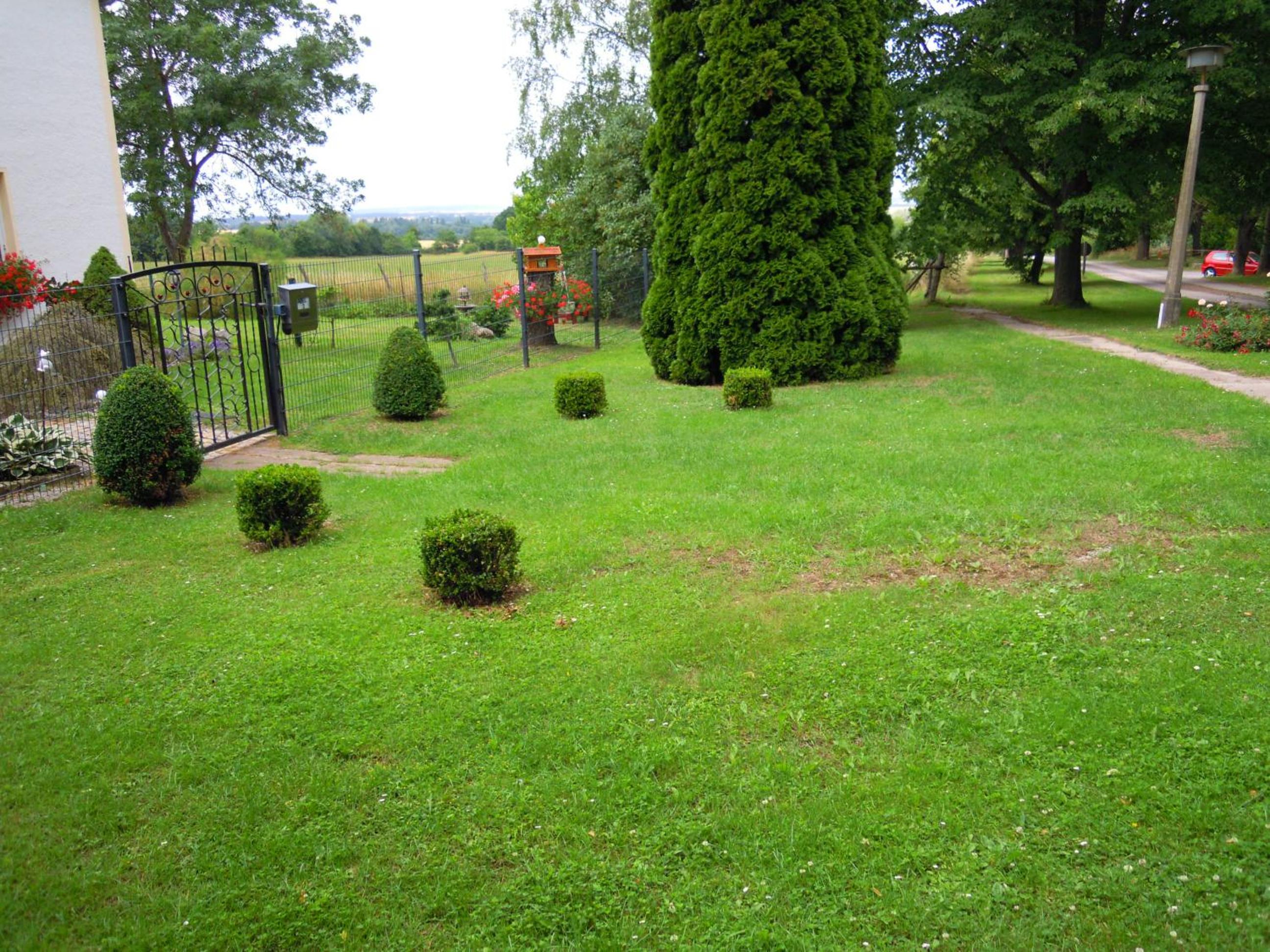 Photo 29