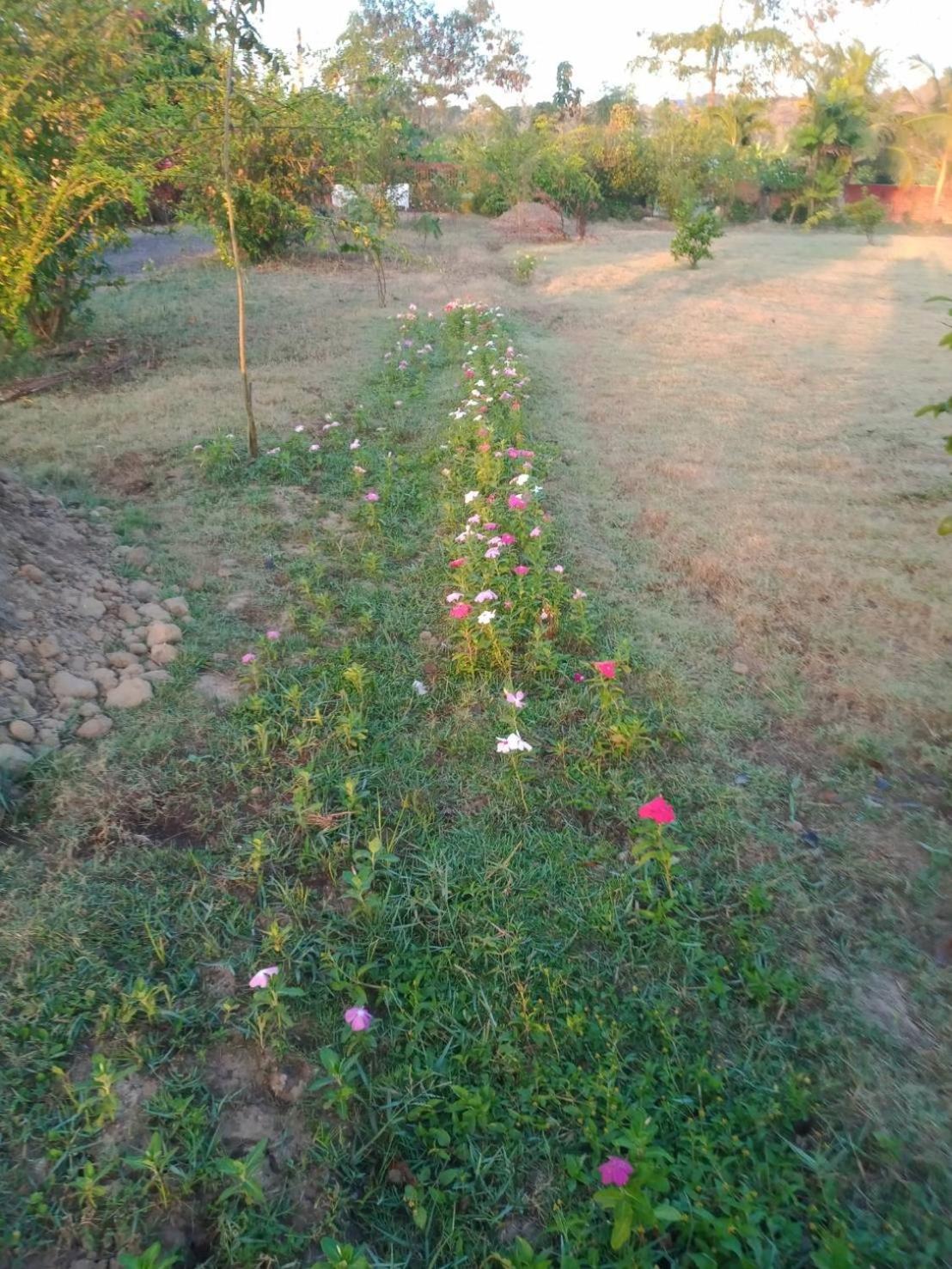 Photo 47