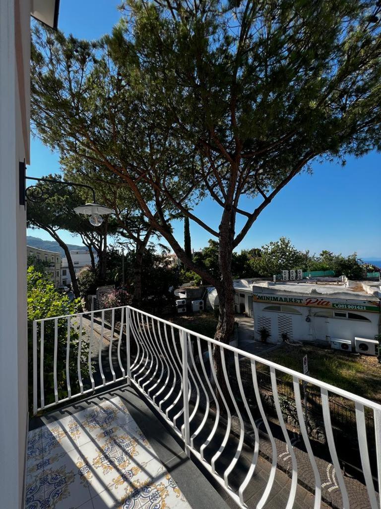 Villa Rosa