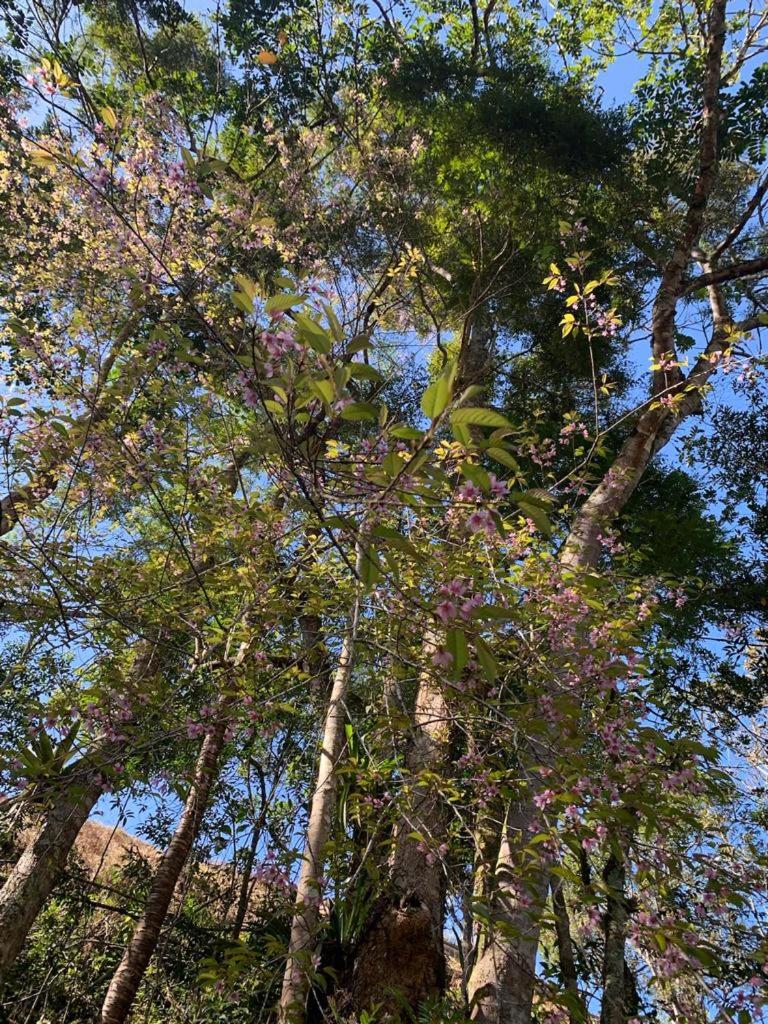 Casa De Férias e Hospedagem Ana Lua