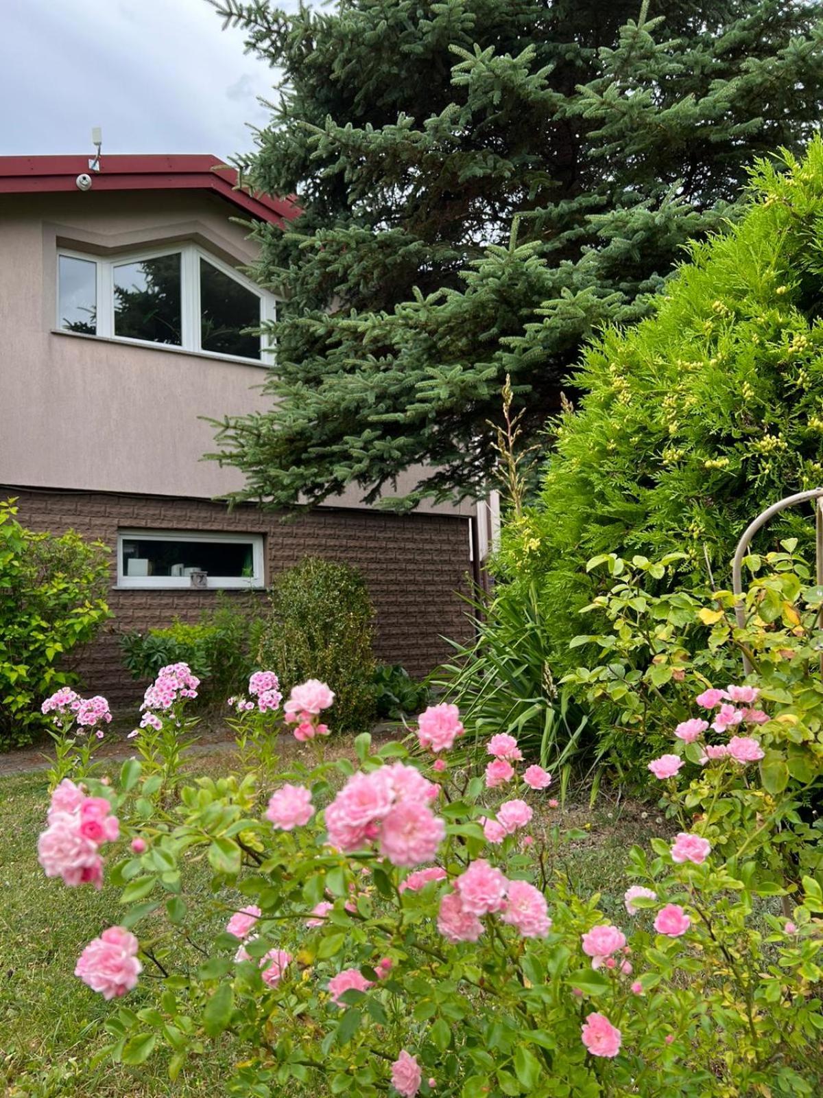 Photo 27