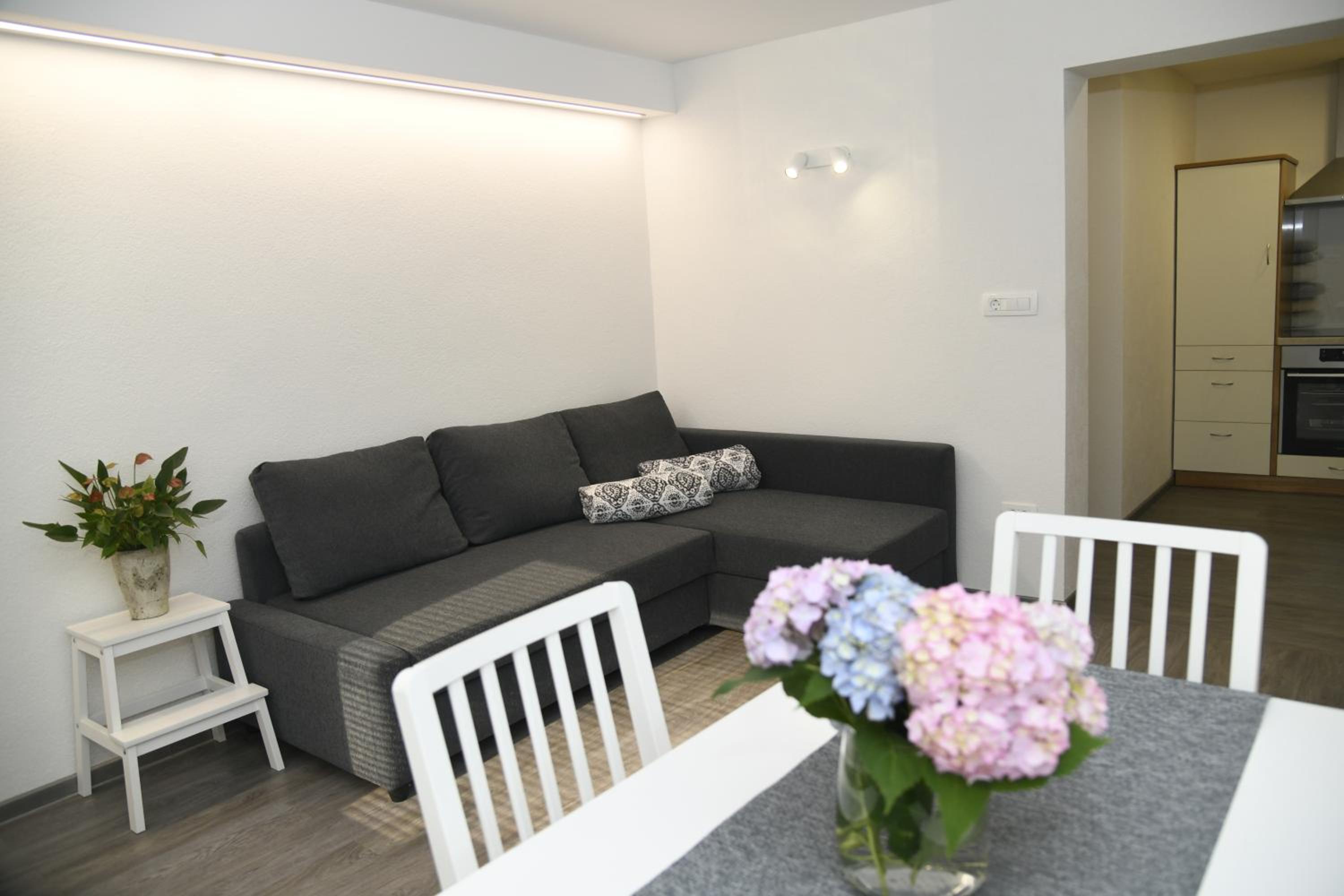 Apartma pri lipi view 4